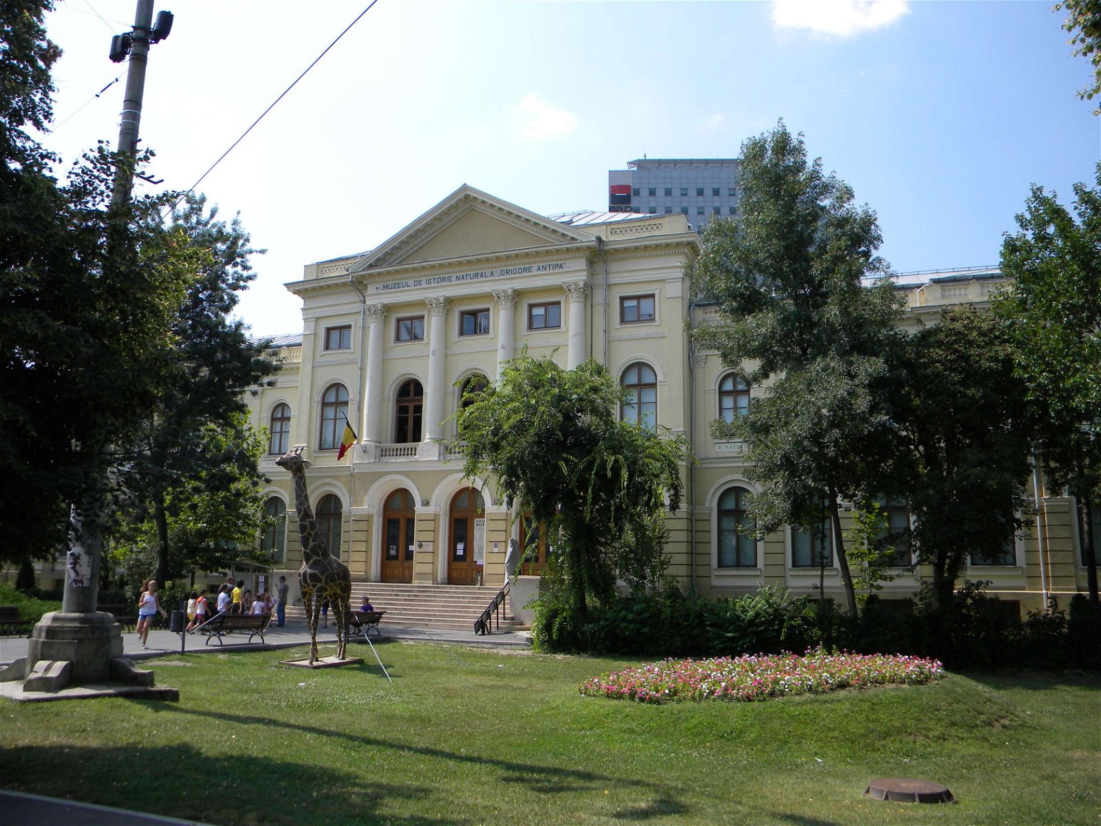 Grigore Antipa National Museum of Natural History