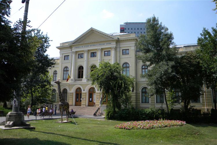 Grigore Antipa National Museum of Natural History