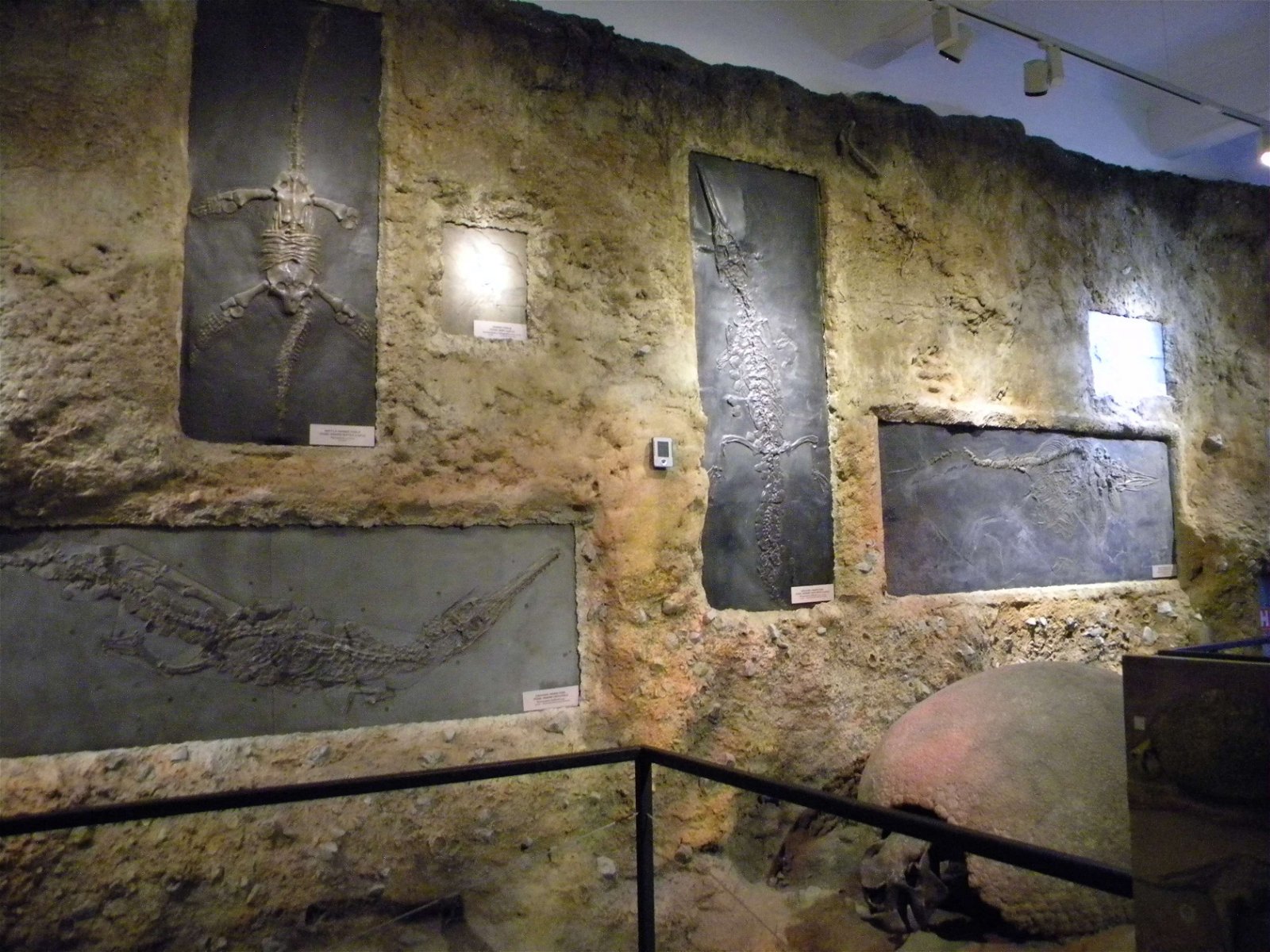 Grigore Antipa National Museum of Natural History