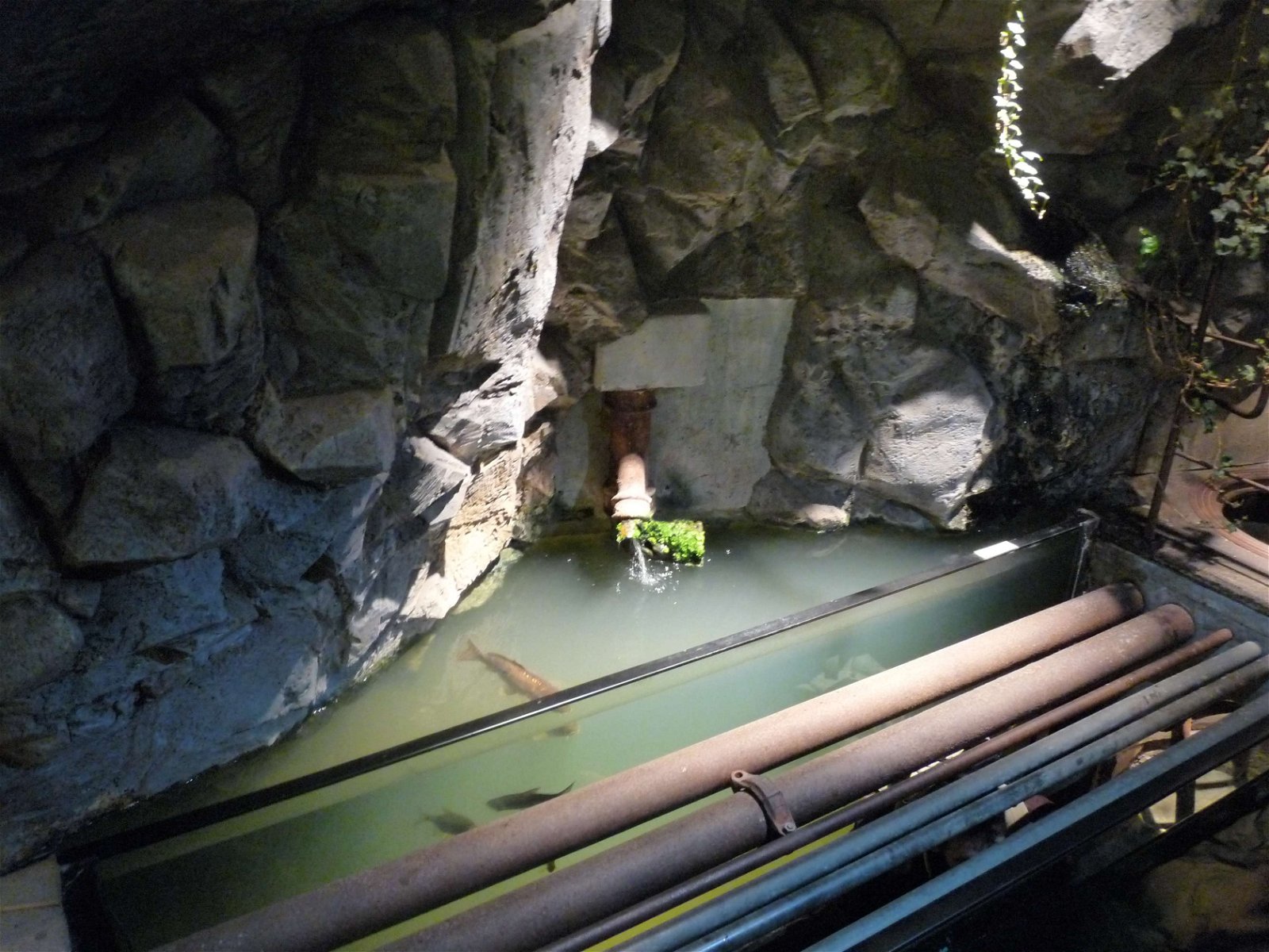 Aquaria Water Museum