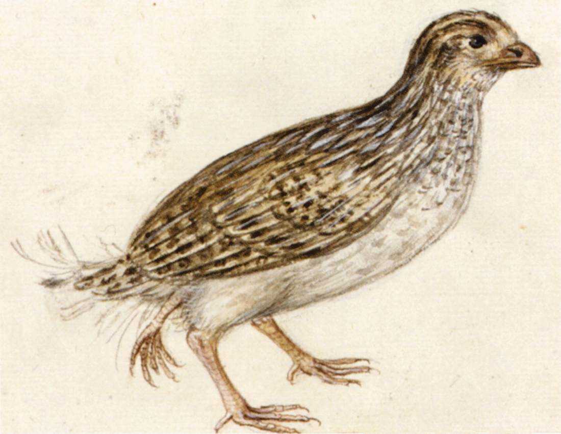 Austrian National Library