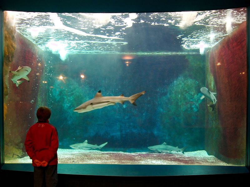 Liege Aquarium-Museum