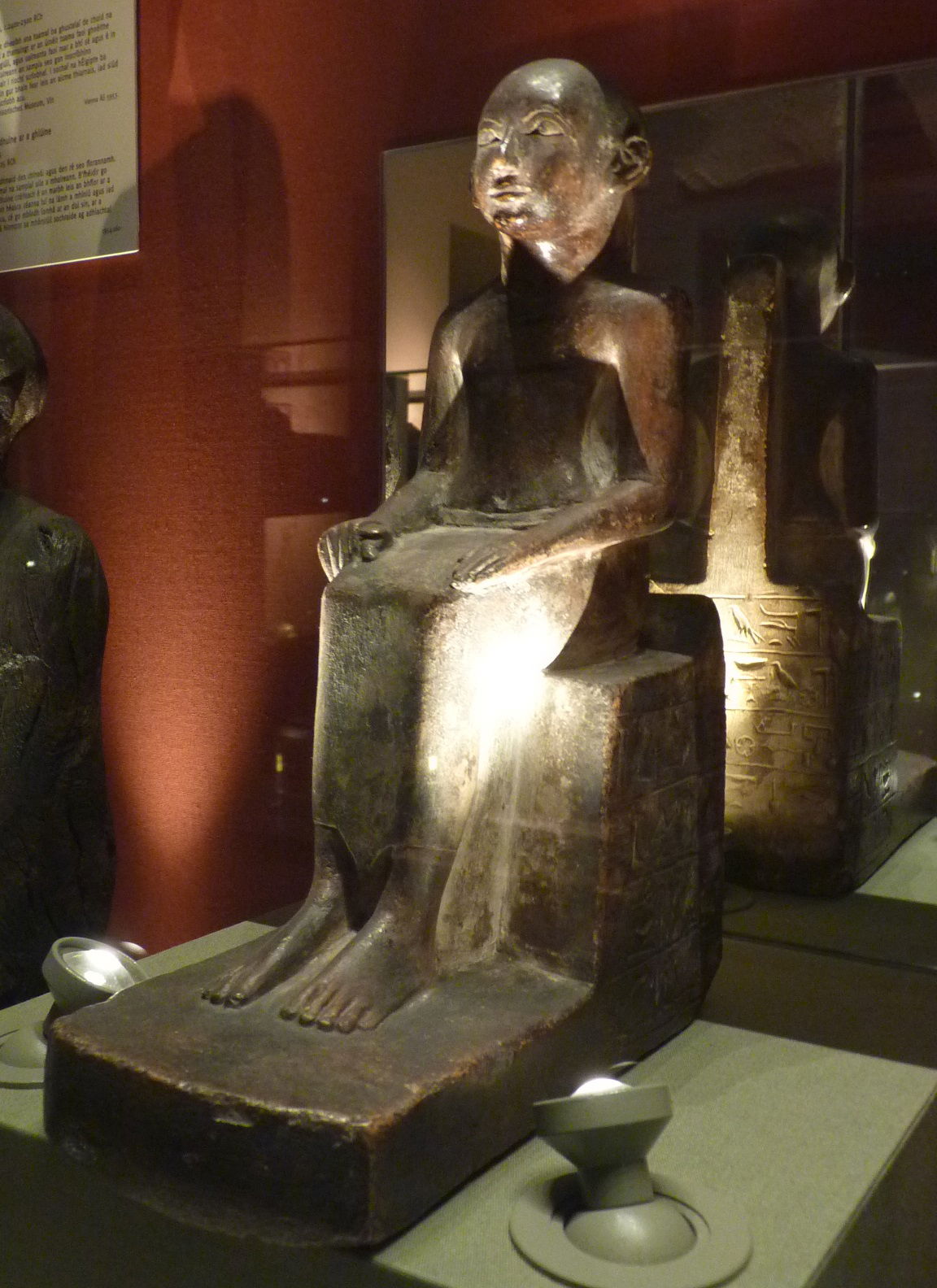 National Museum of Ireland, Kildare Street