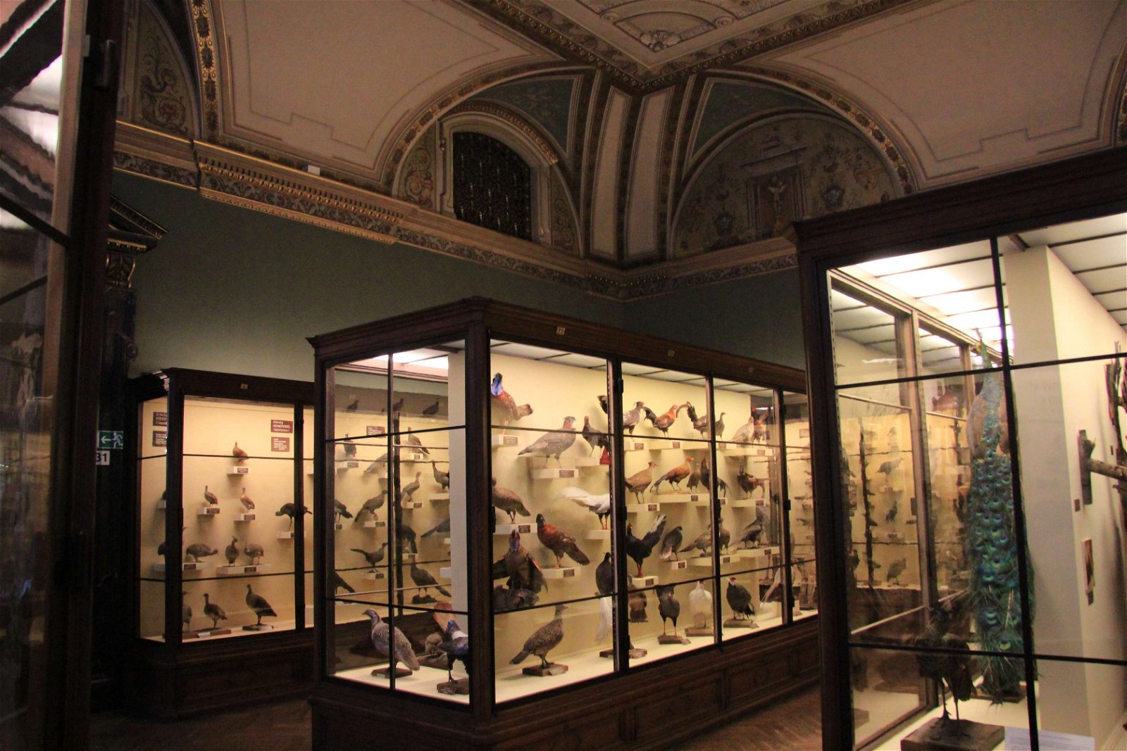 Natural History Museum