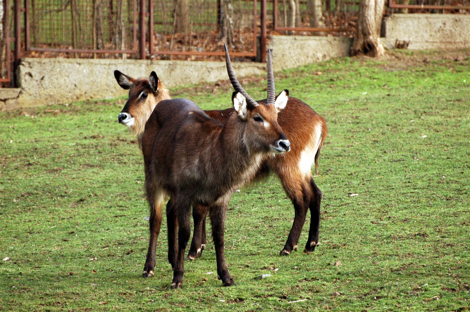 Wroclaw Zoo & Africarium