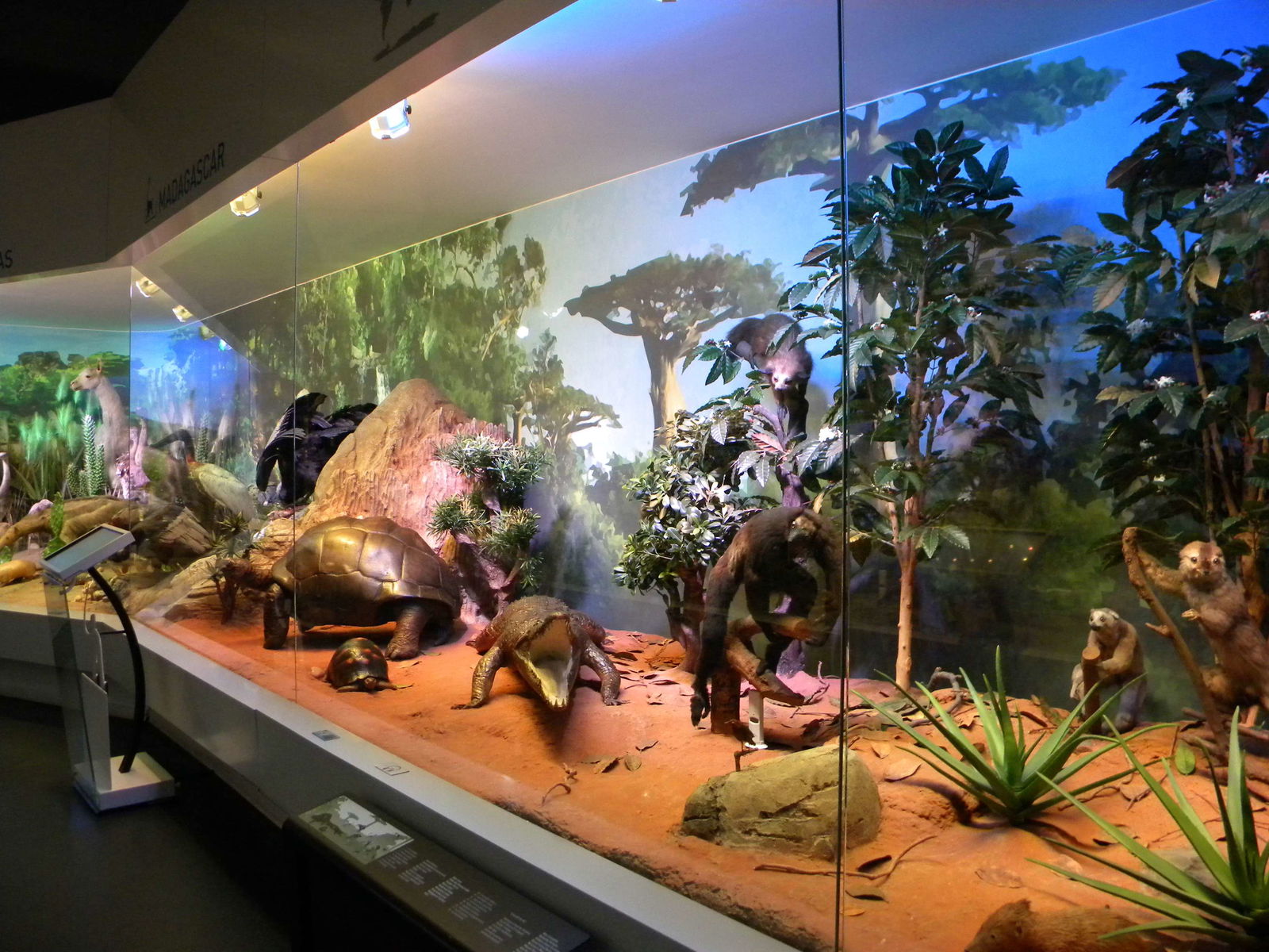 Grigore Antipa National Museum of Natural History