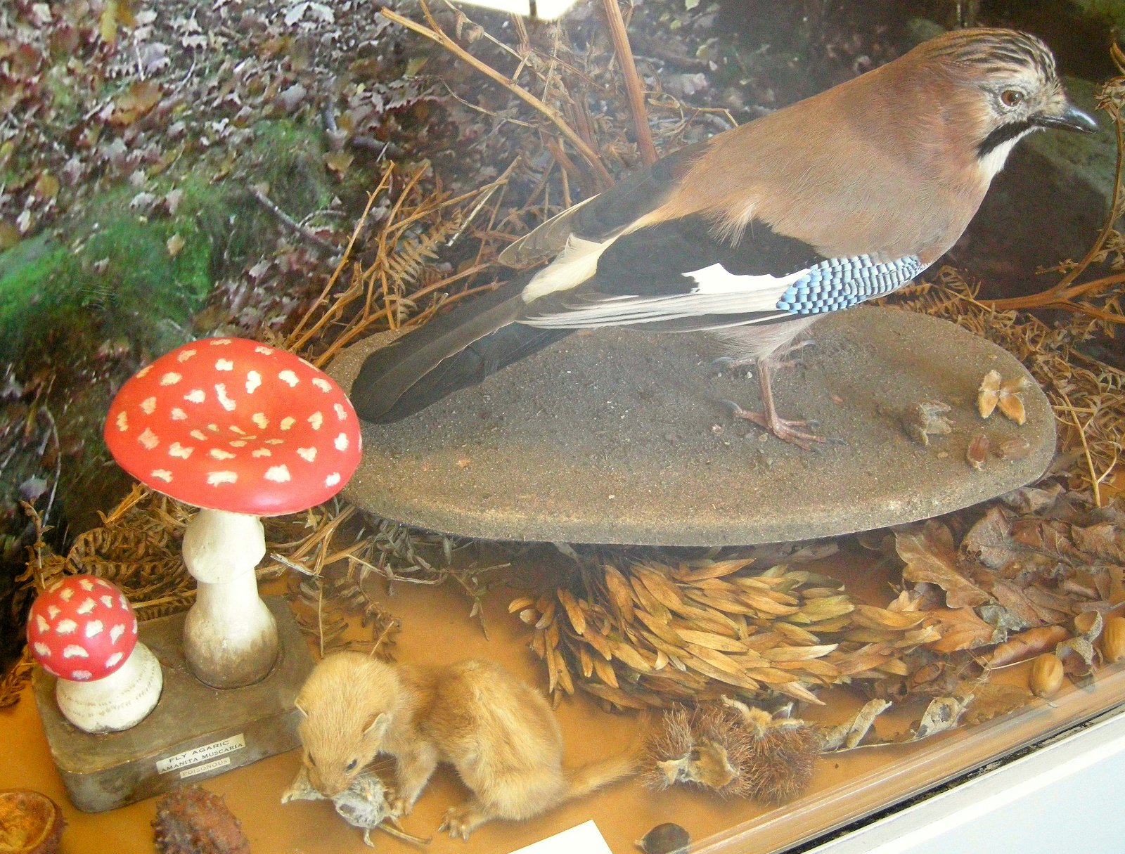 Bracken Hall Countryside Museum