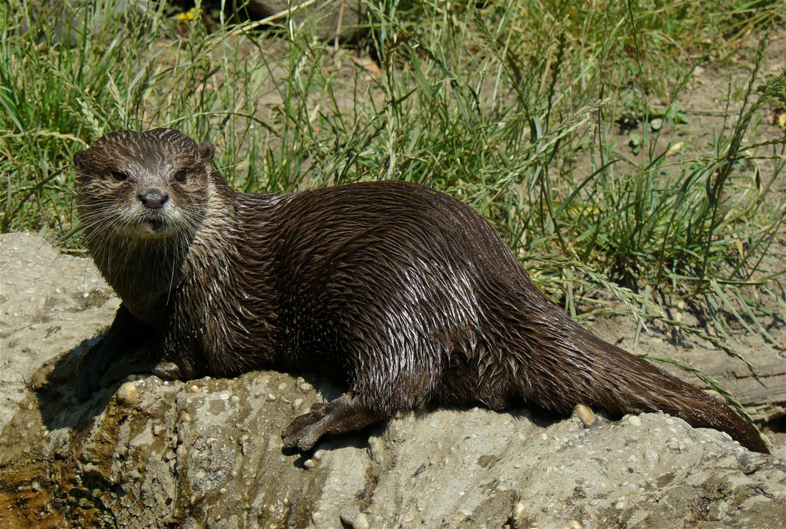 Budapest Zoo and Botanical Garden