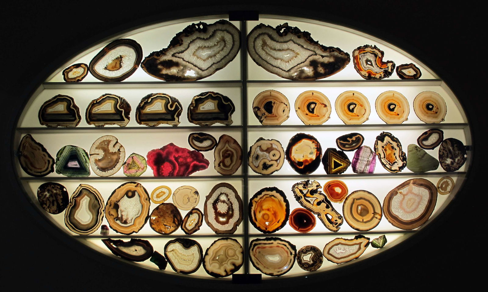 Museo di Storia Naturale di Firenze - Geologia e Paleontologia