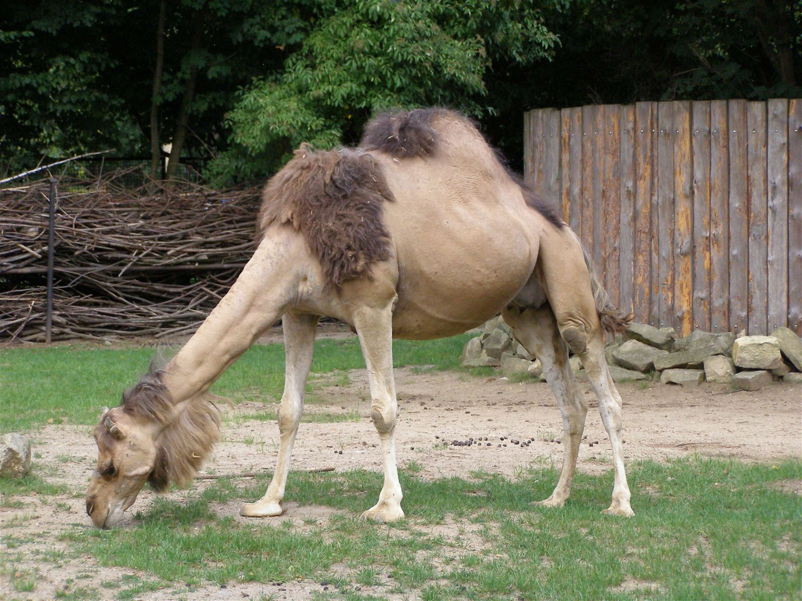 Wroclaw Zoo & Africarium