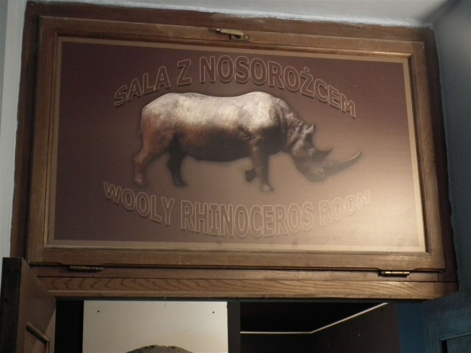 Aquarium and Museum of Natural History in Krakow