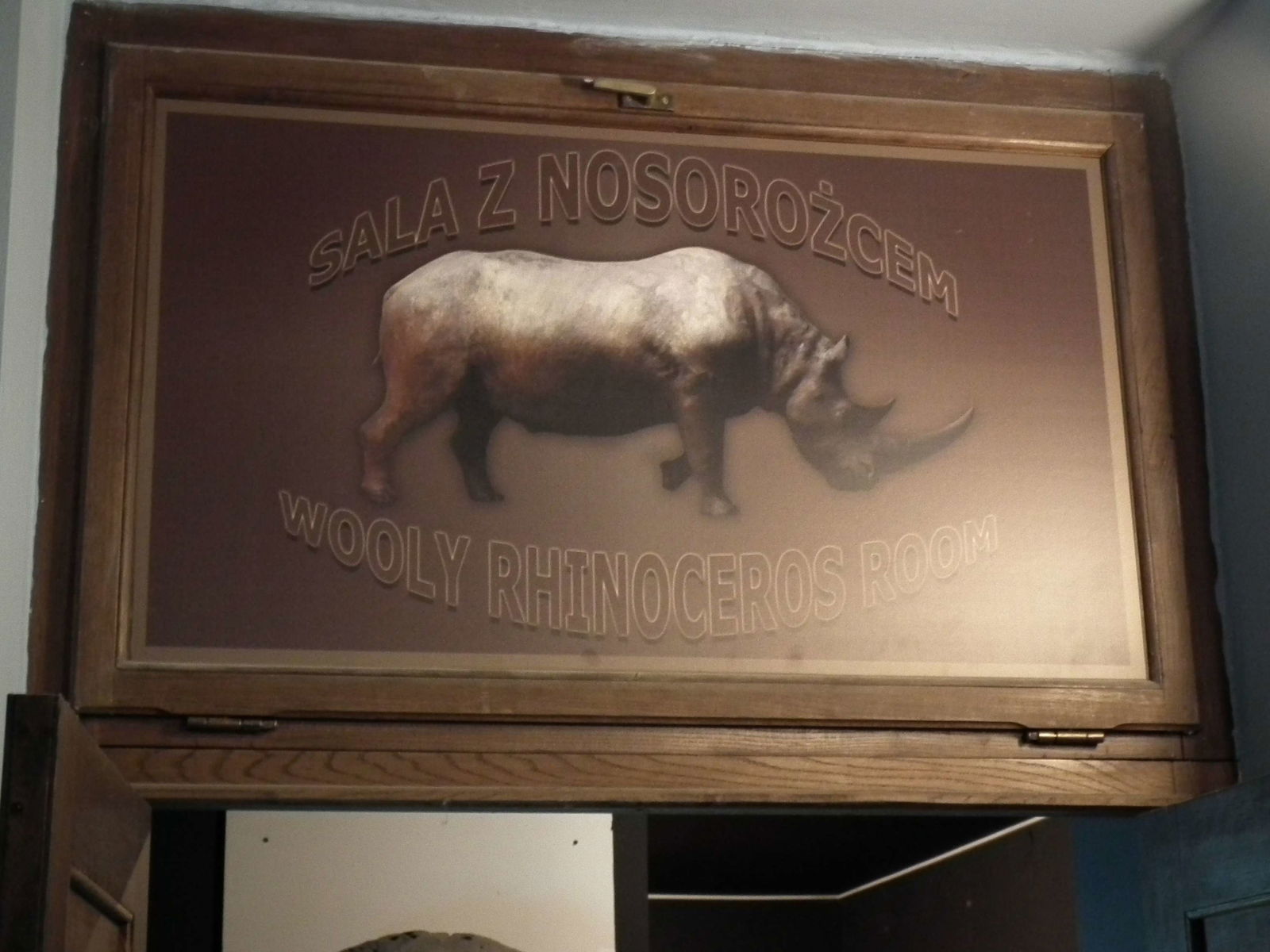 Aquarium and Museum of Natural History in Krakow