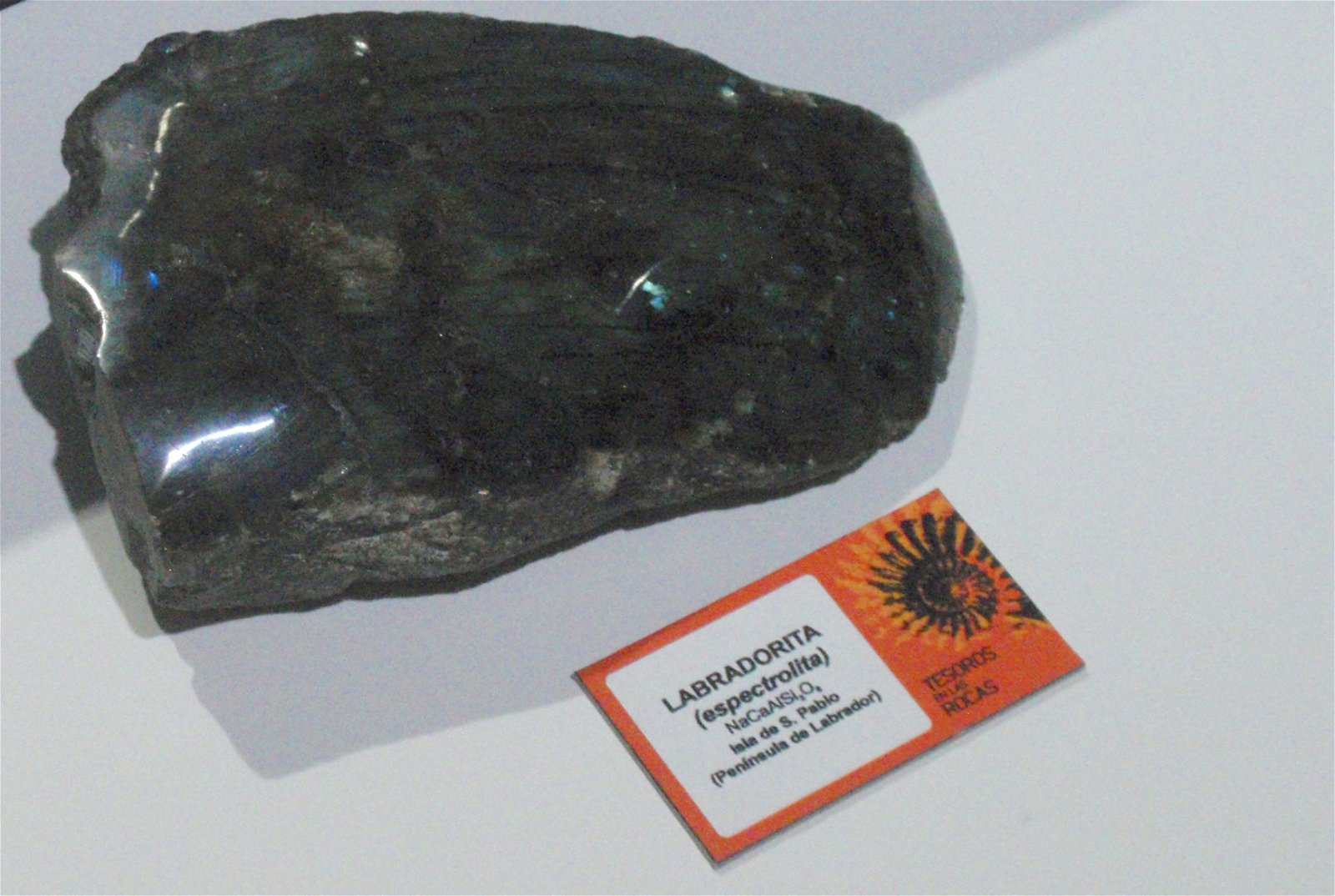 Museo Elder de la Ciencia y la Tecnología