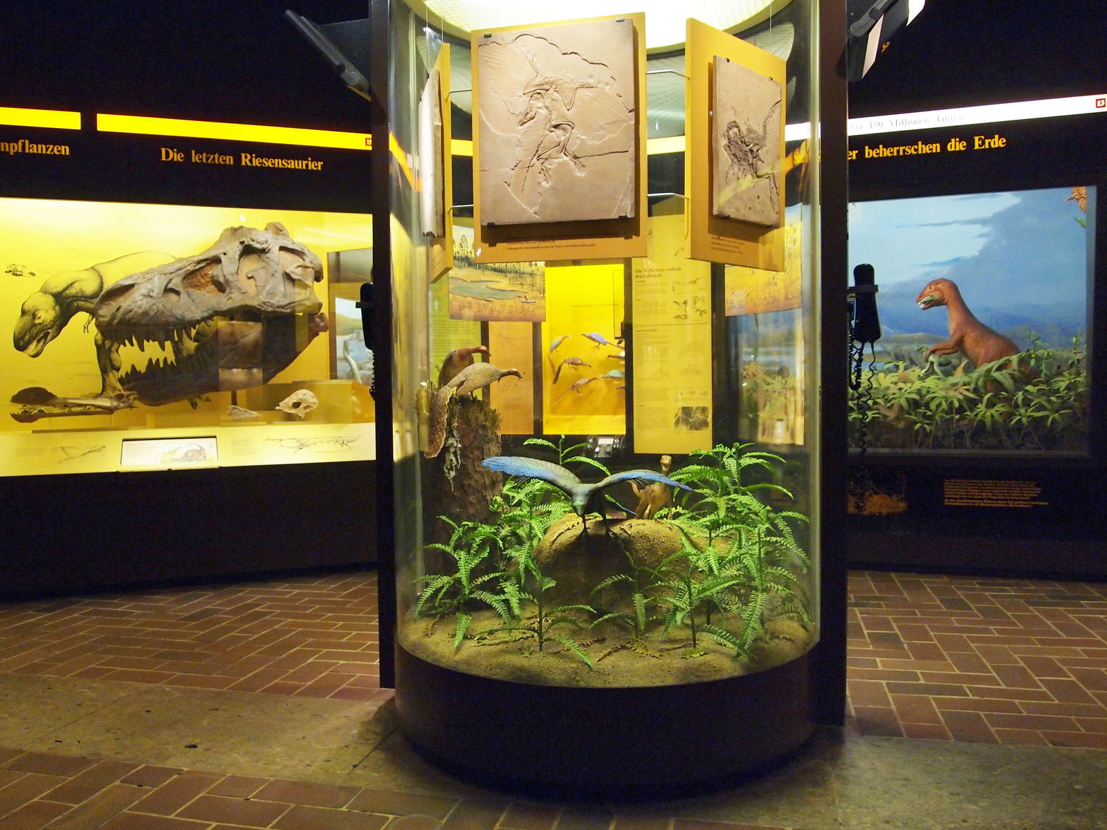 Museum Mensch und Natur