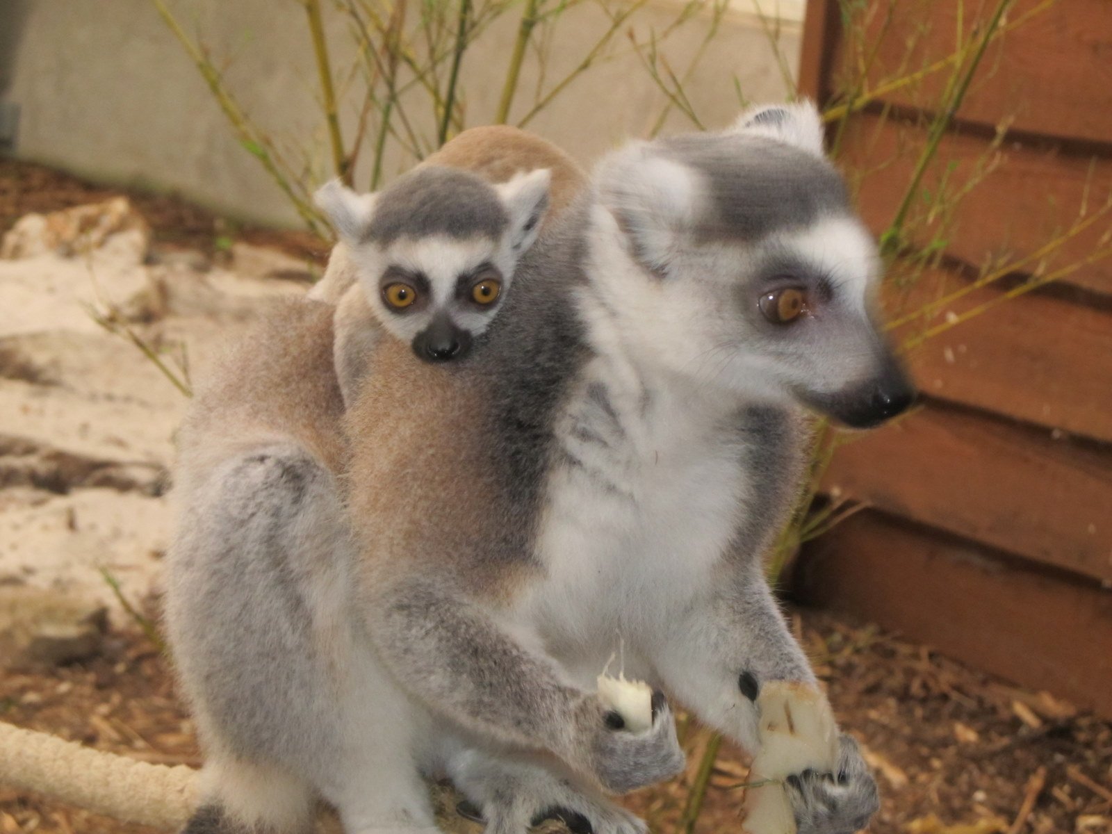 Familiepark Harry Malter