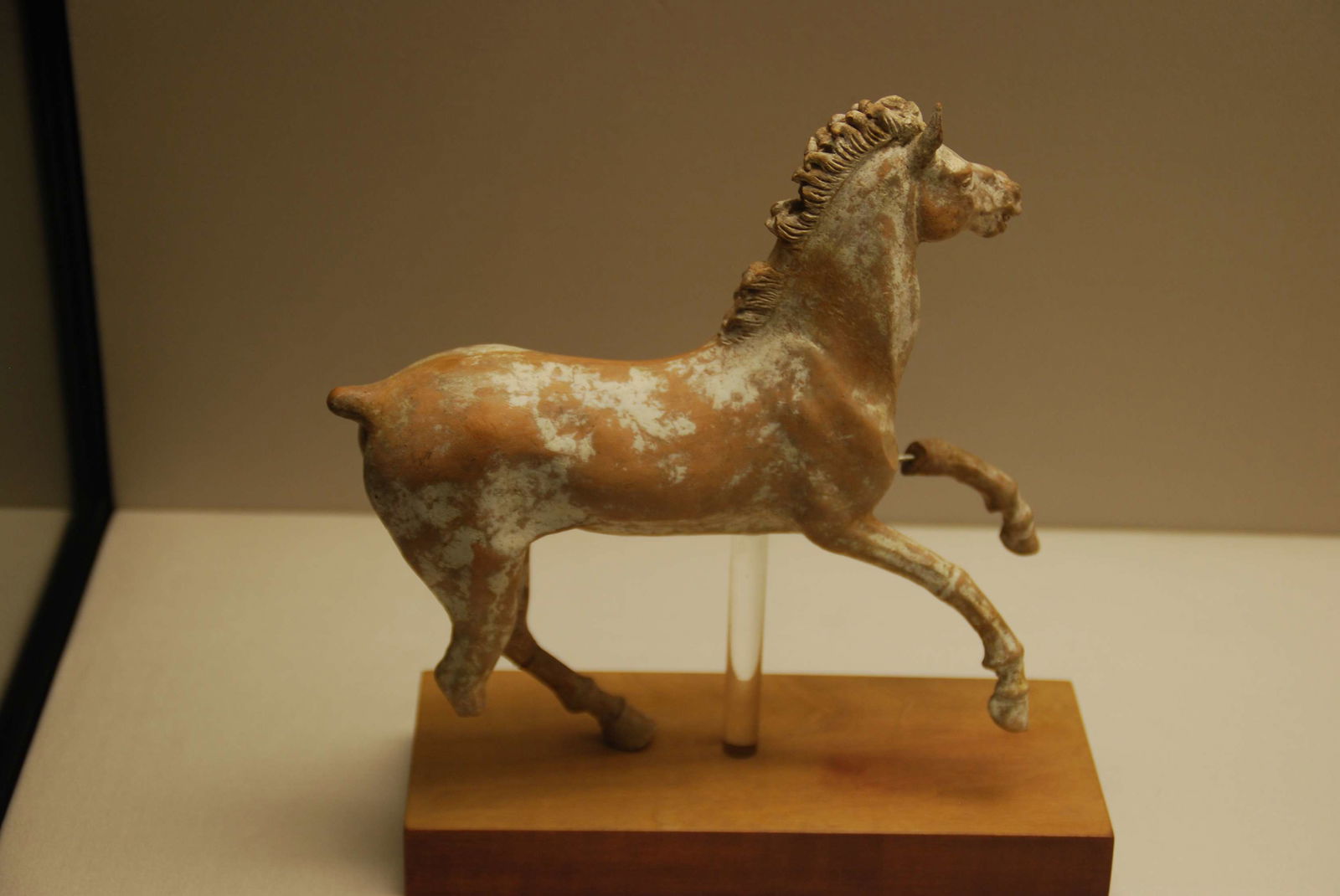 Museum of Antiquities (Antikensammlungen)