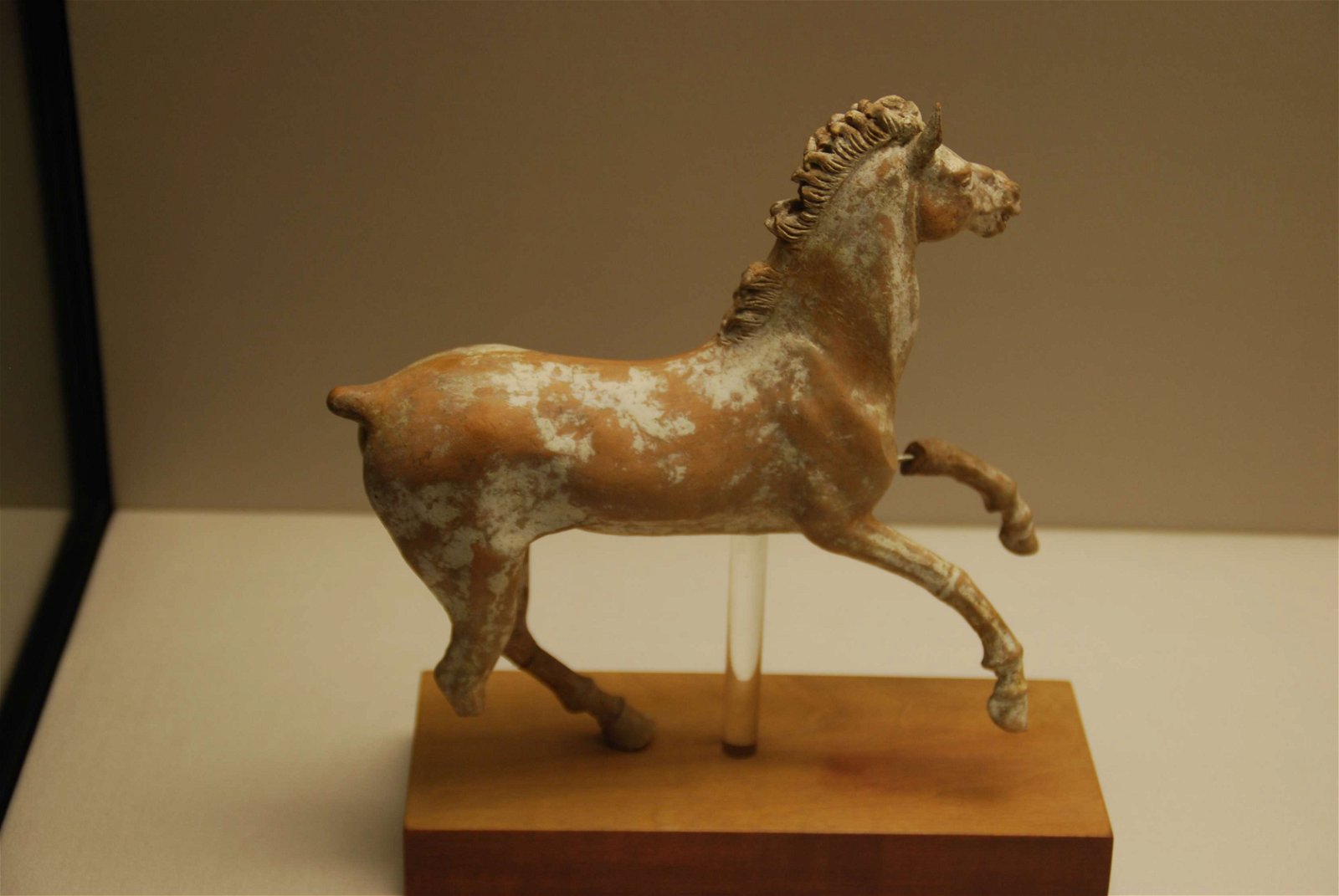 Museum of Antiquities (Antikensammlungen)