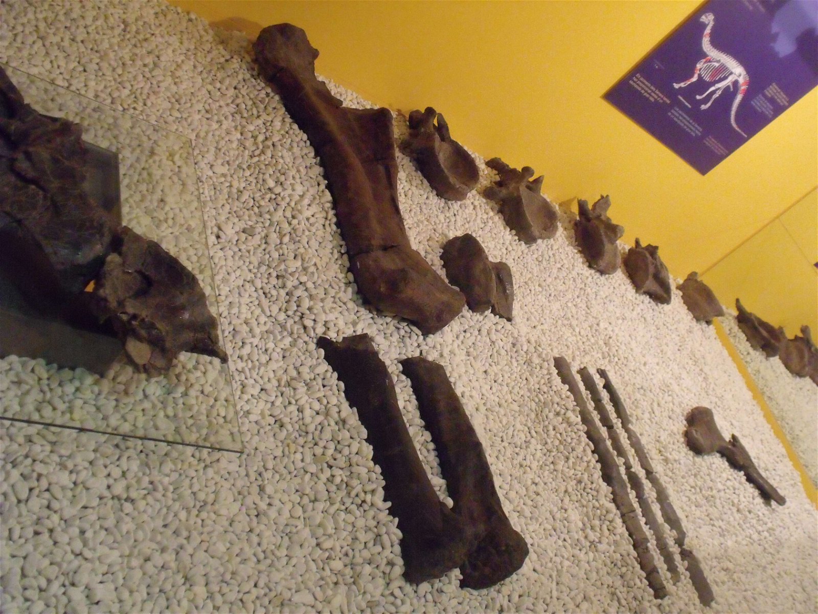 Museo de Ciencias Naturales