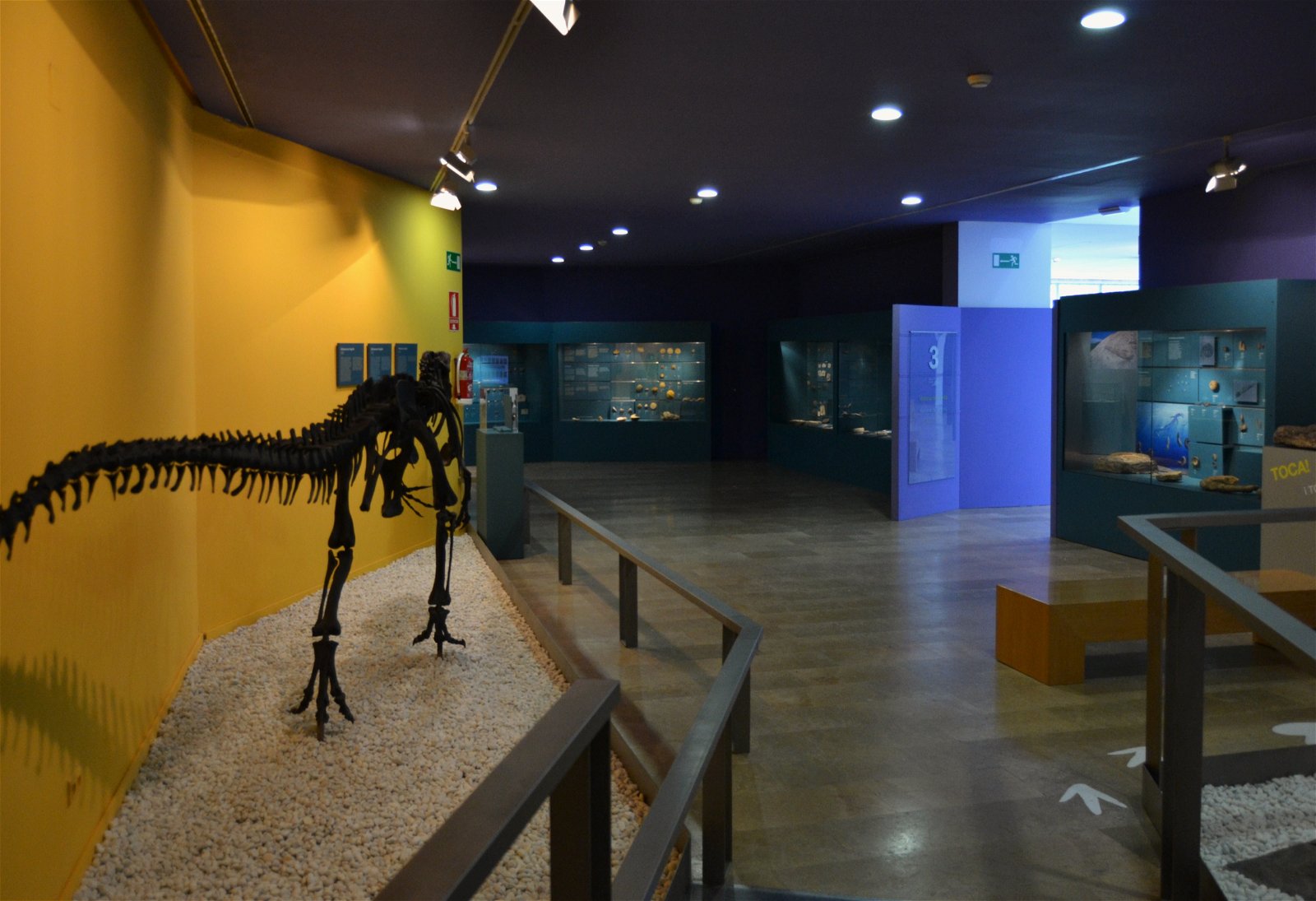 Museo de Ciencias Naturales