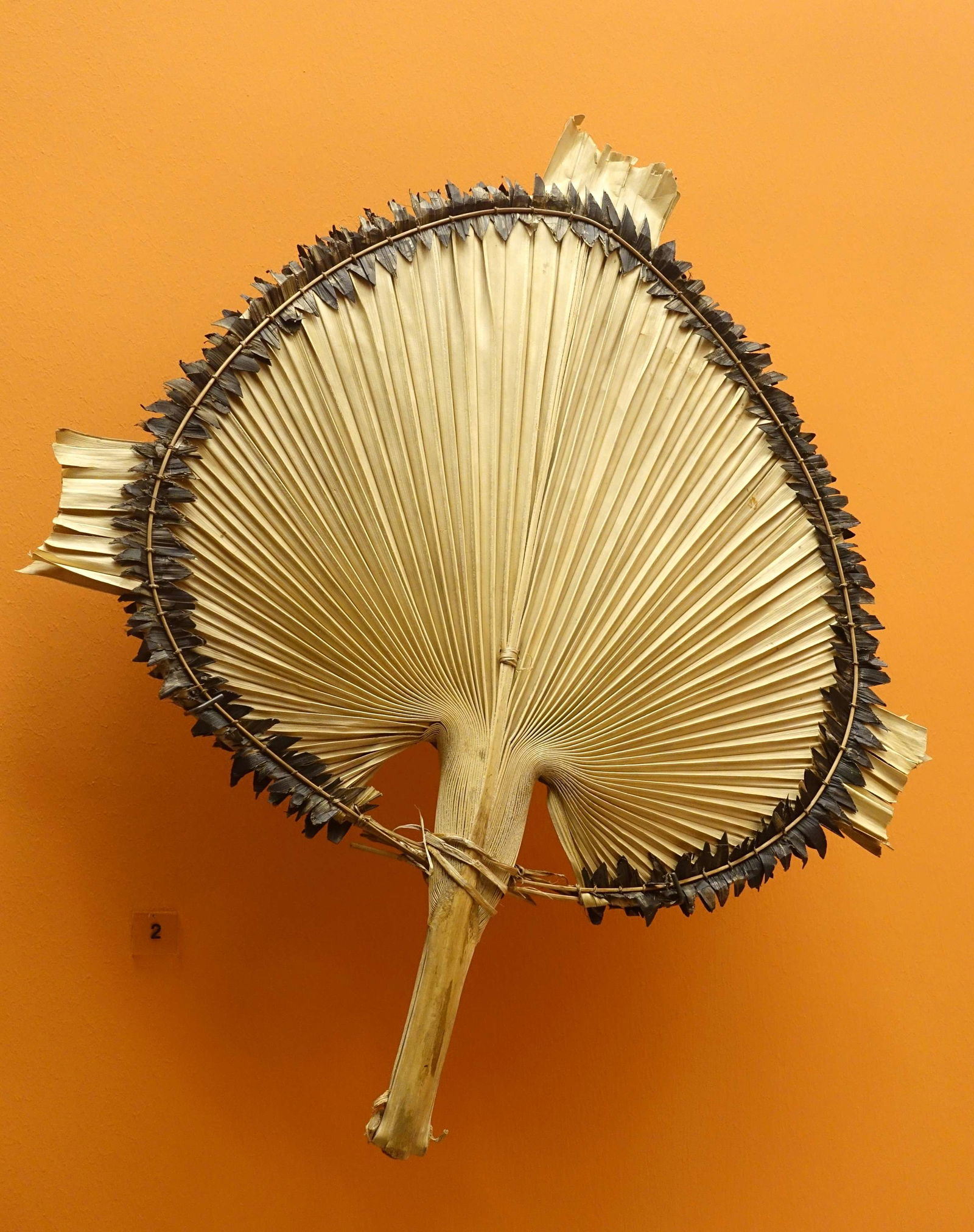 Ethnologisches Museum