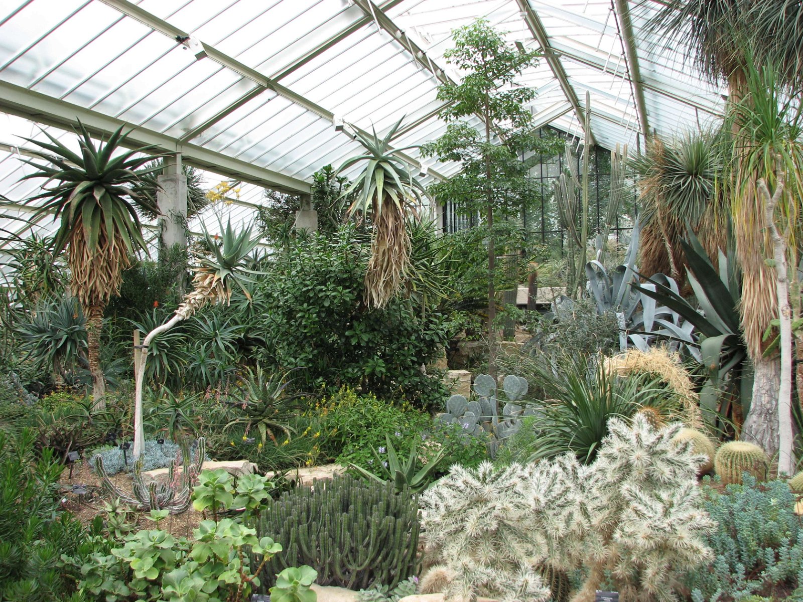 Royal Botanic Gardens, Kew