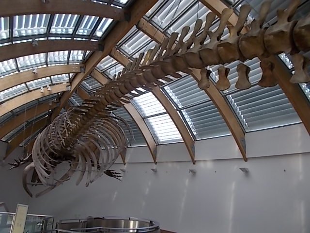 Hungarian Natural History Museum