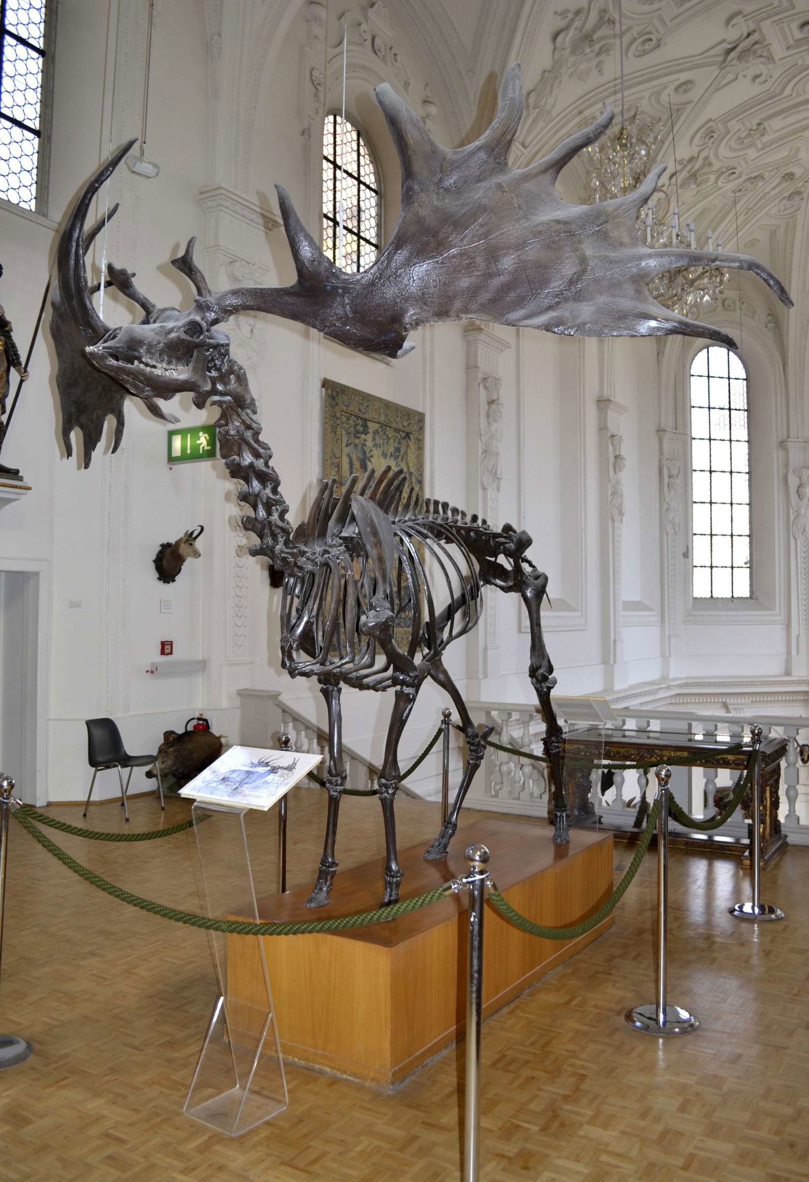 Deutsches Jagd- und Fischereimuseum