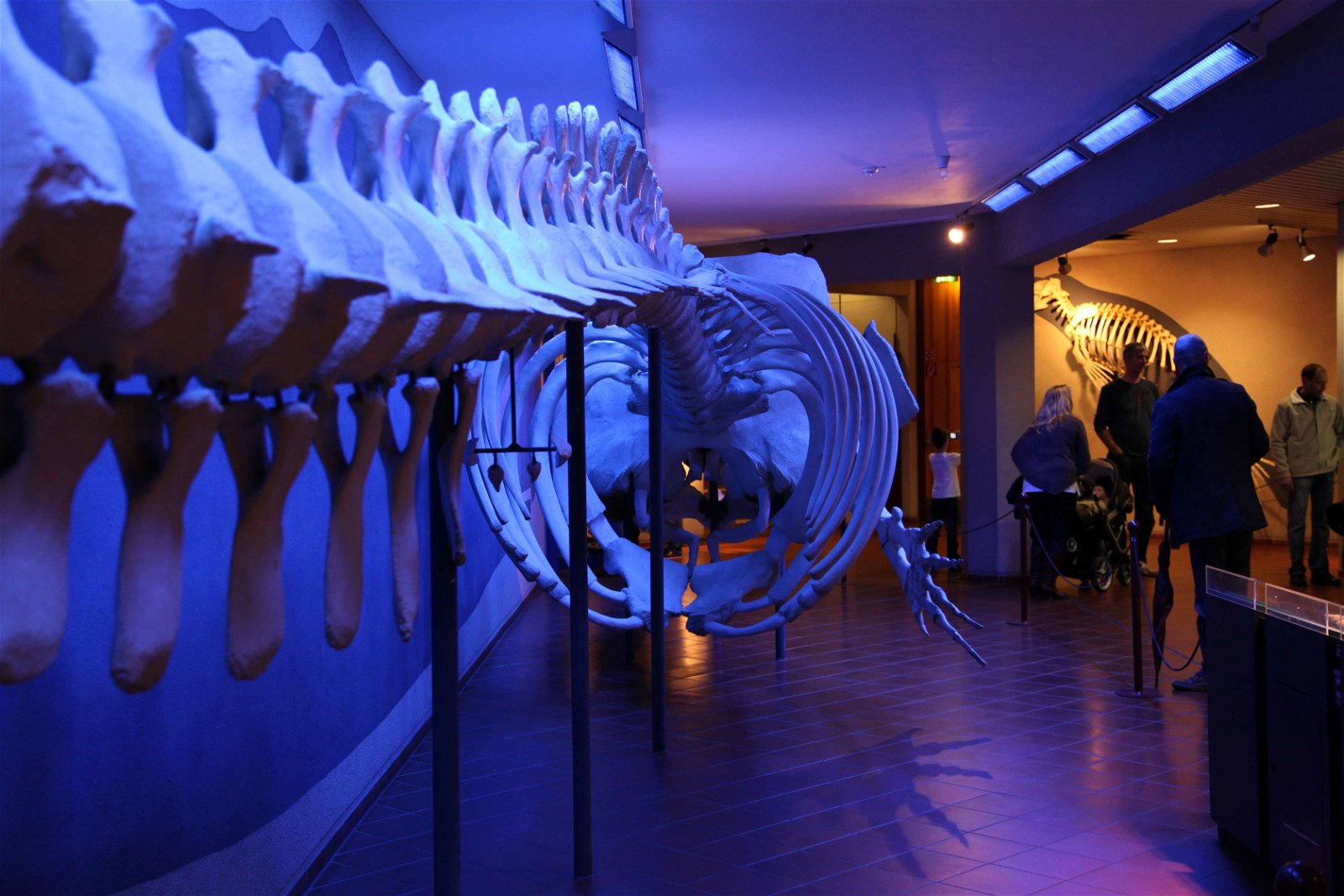 Aquazoo – Löbbecke-Museum Düsseldorf