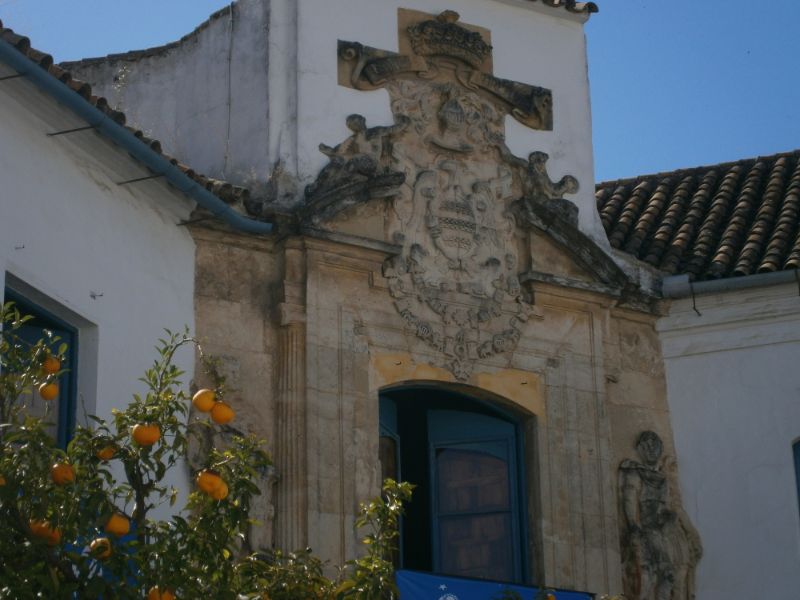 Palacio-Museo de Viana