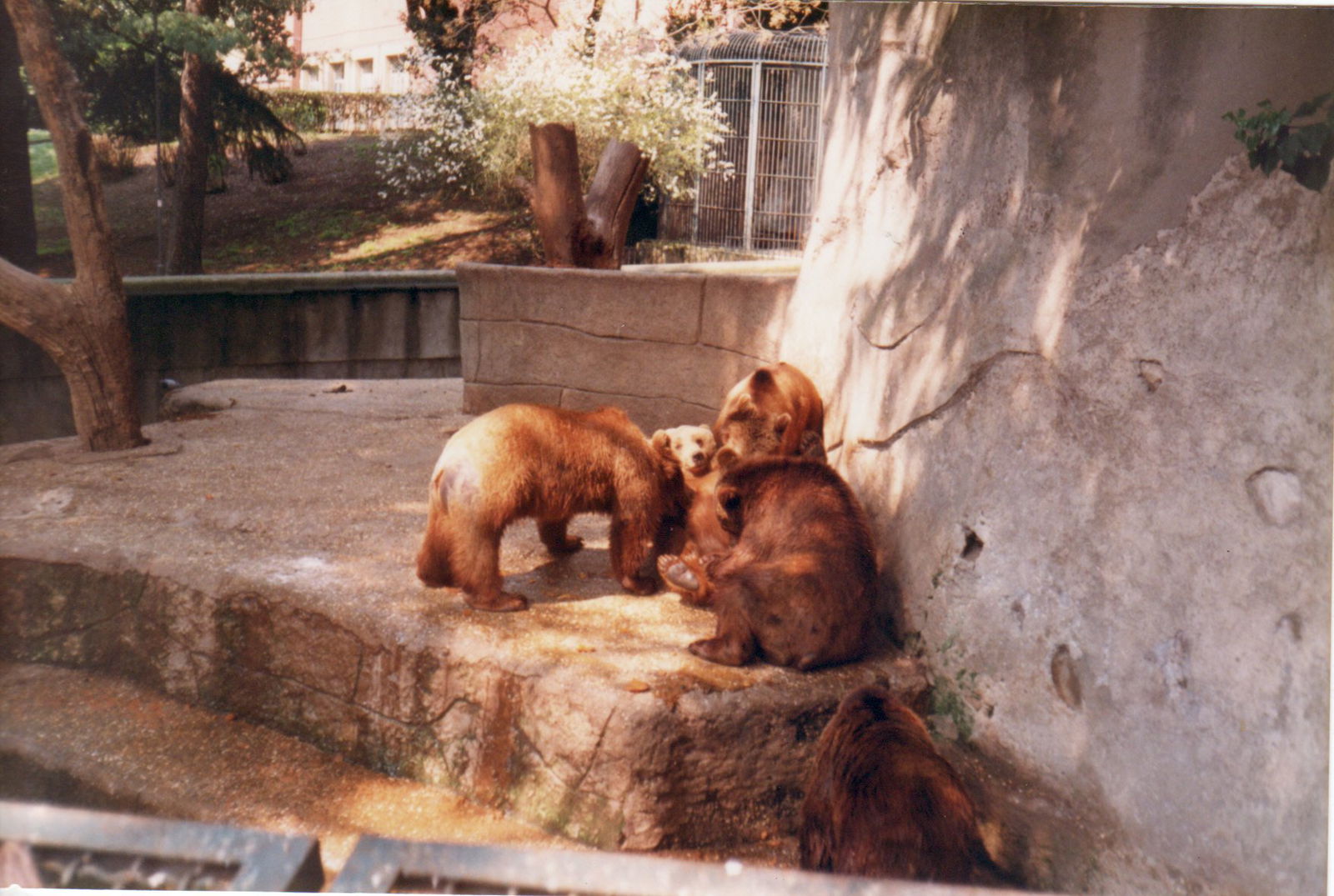 Bioparco