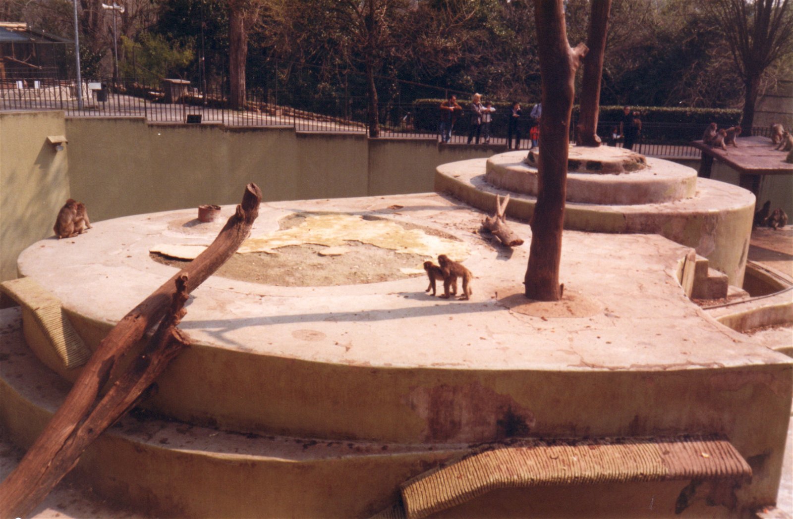Bioparco