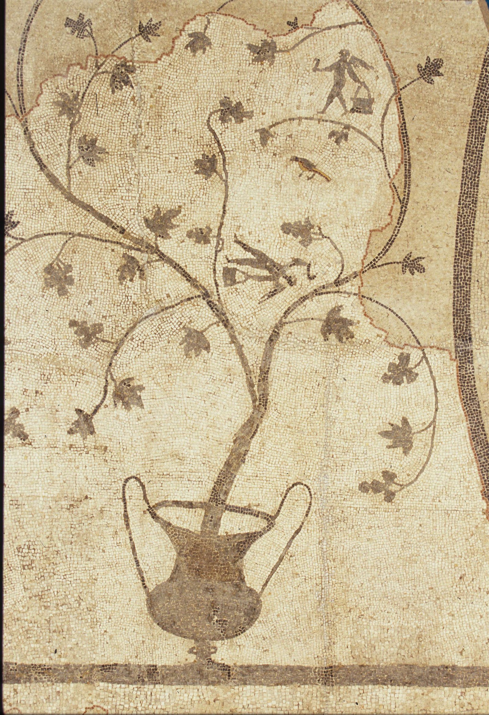 Museo Arqueológico Provincial de Alicante