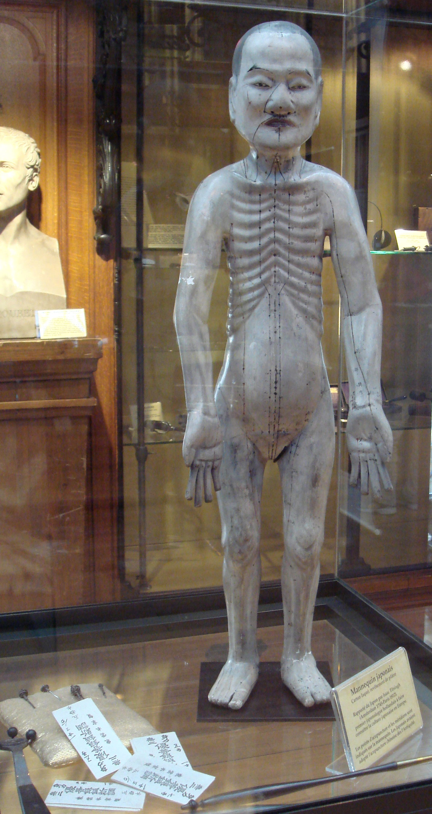 Musée d’histoire de la médecine