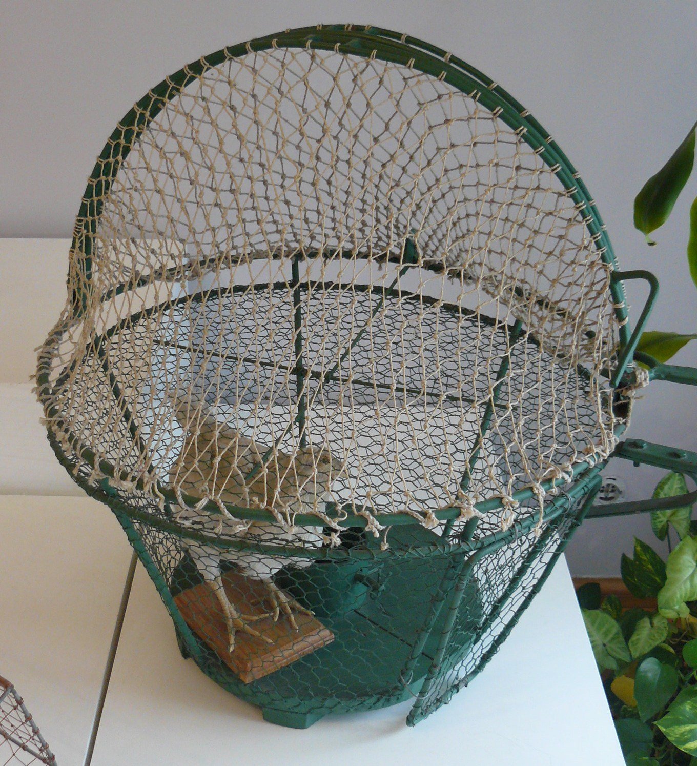 Museum of Natural Environment and Hunting