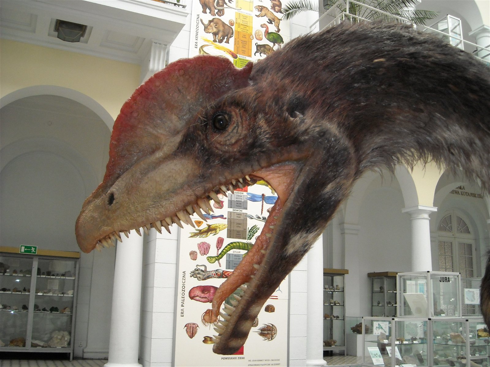 Geological Museum of the Polish Geological Institute