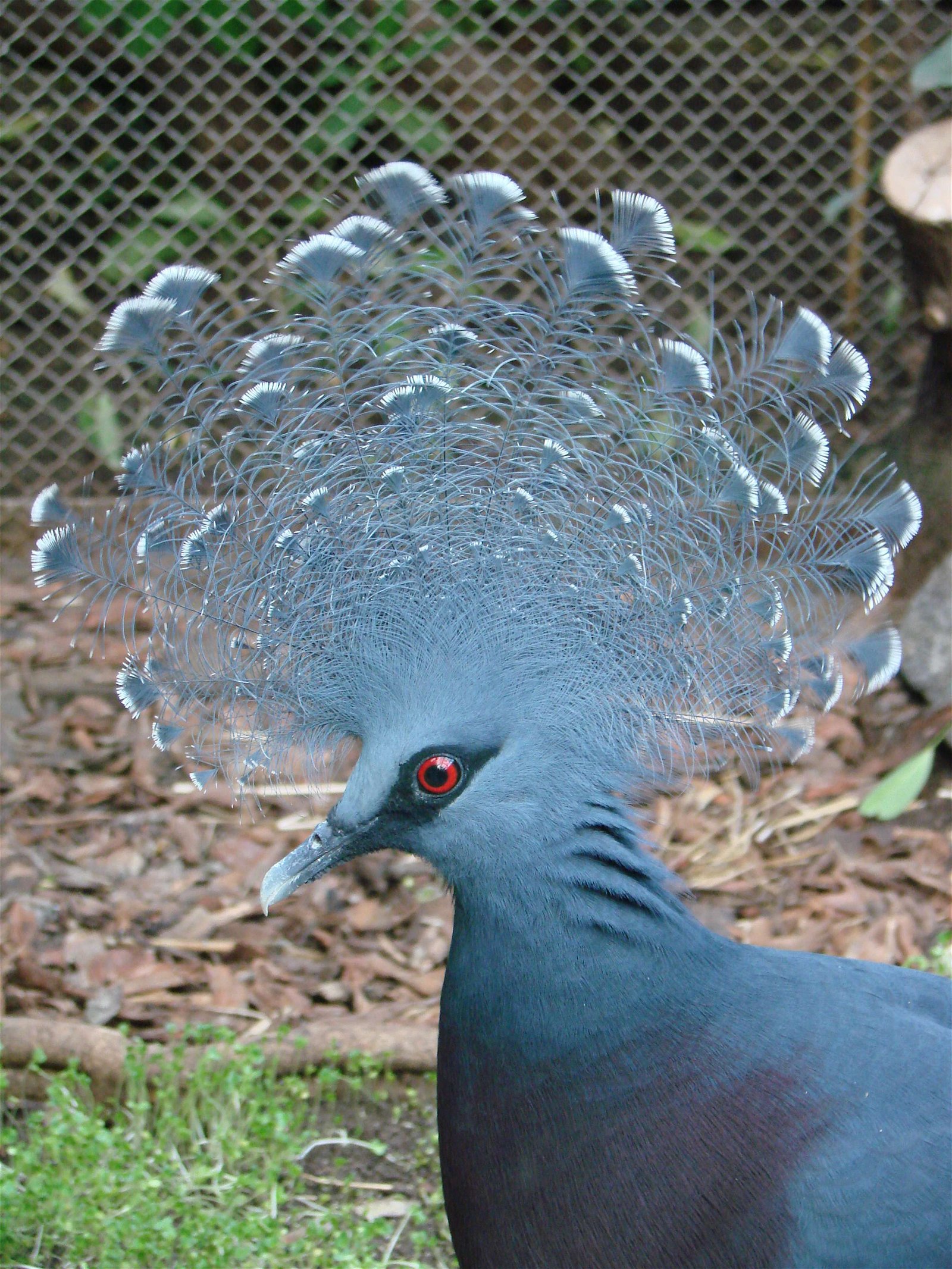 Wroclaw Zoo & Africarium