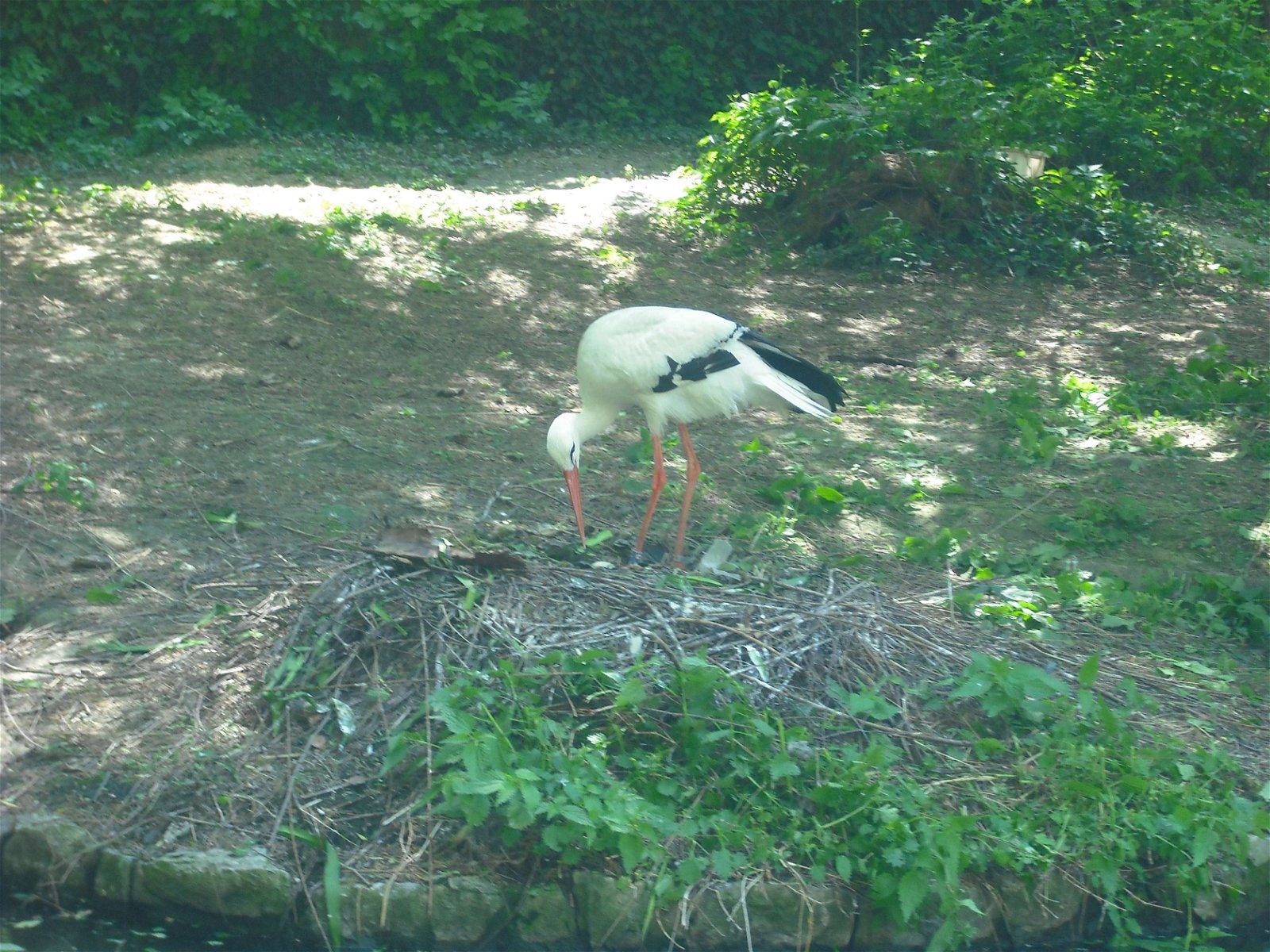 Zagreb Zoo