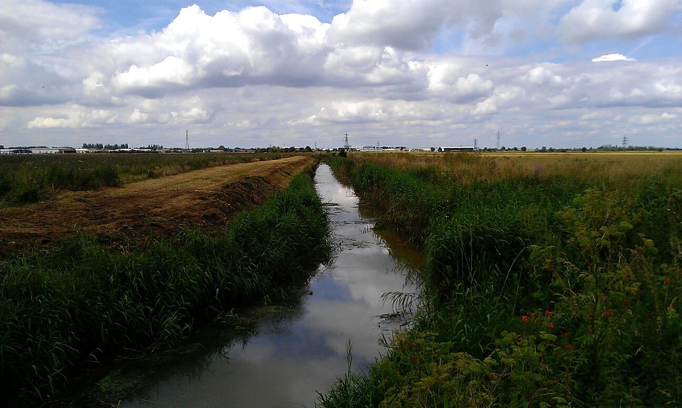Flag Fen