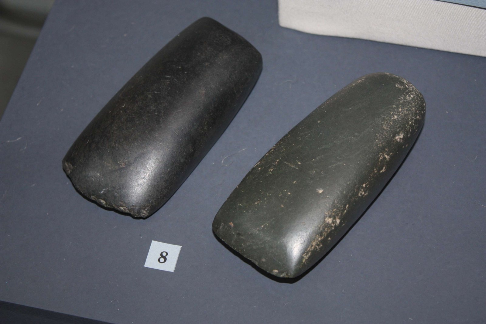 National History Museum