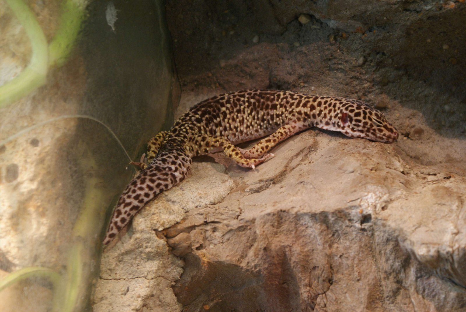 Tropicarium - Oceanarium