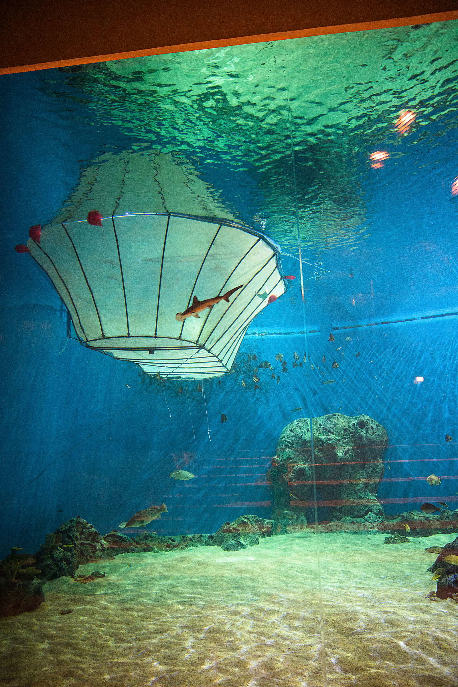 National Aquarium Denmark