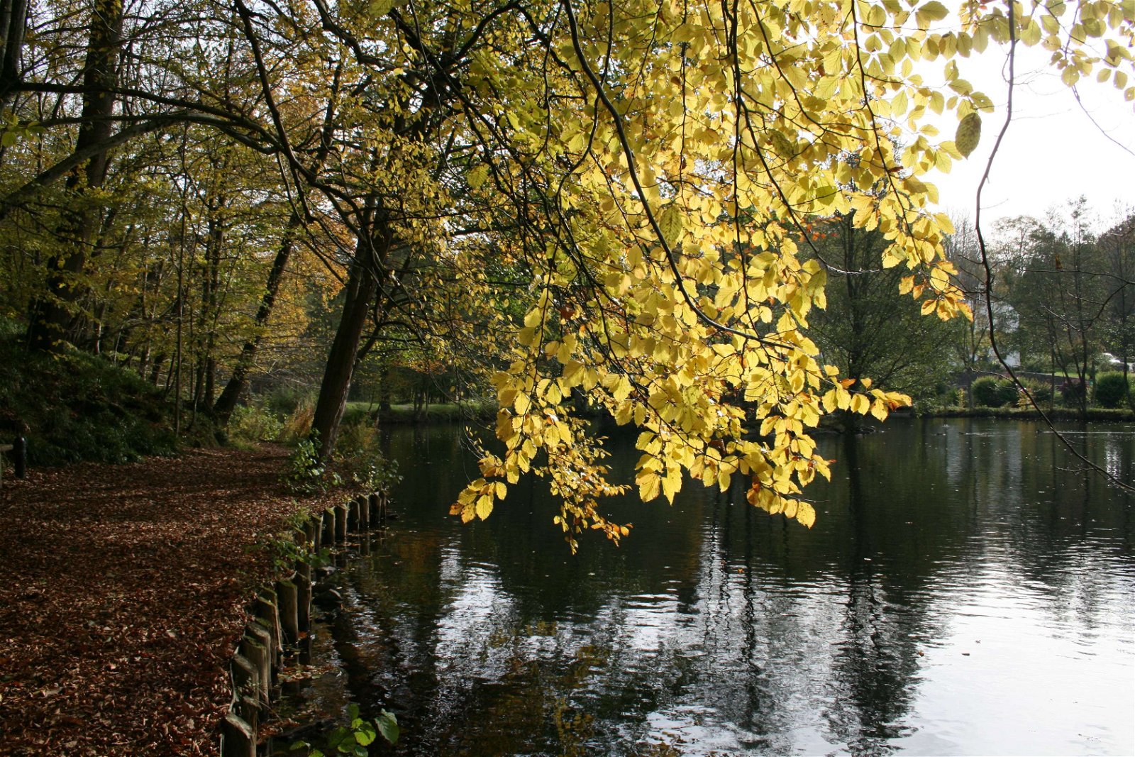 Musées du Fourneau Saint-Michel