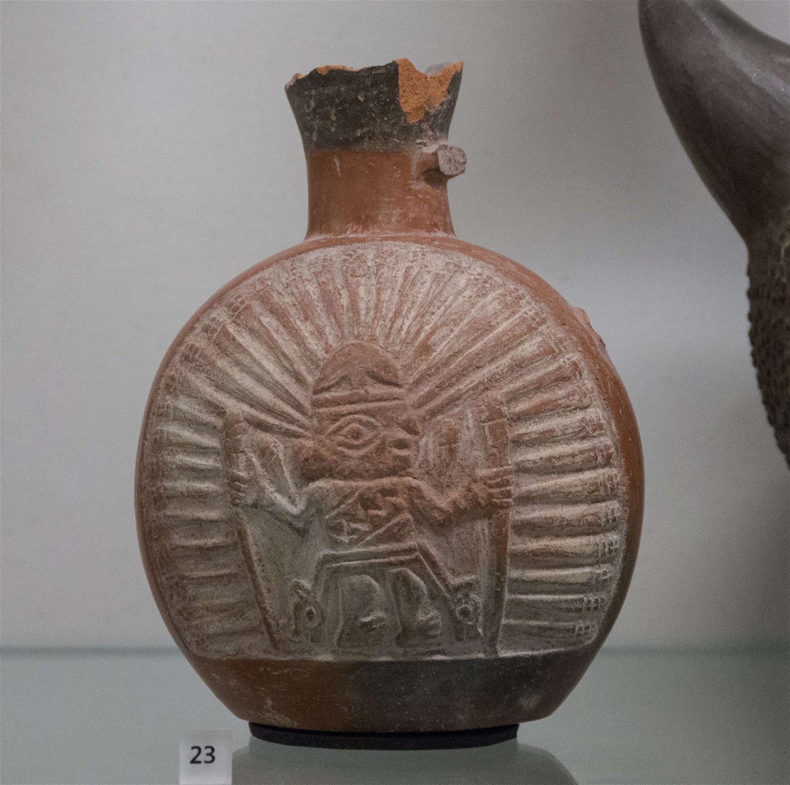 Royal Albert Memorial Museum and Art Gallery