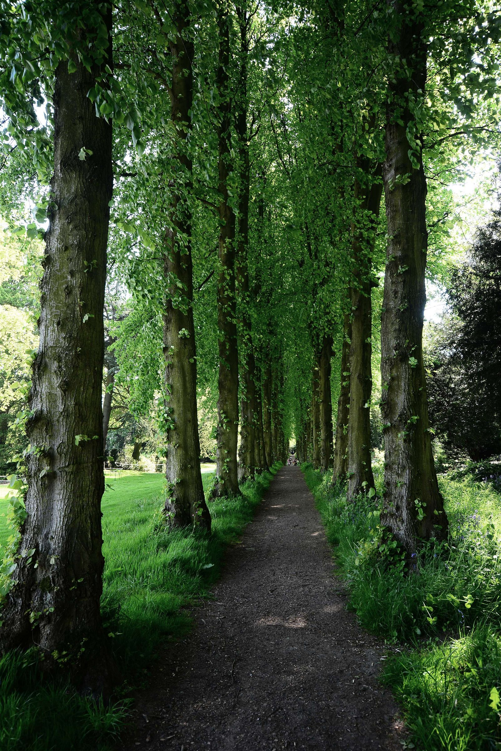 Wentworth Castle Gardens