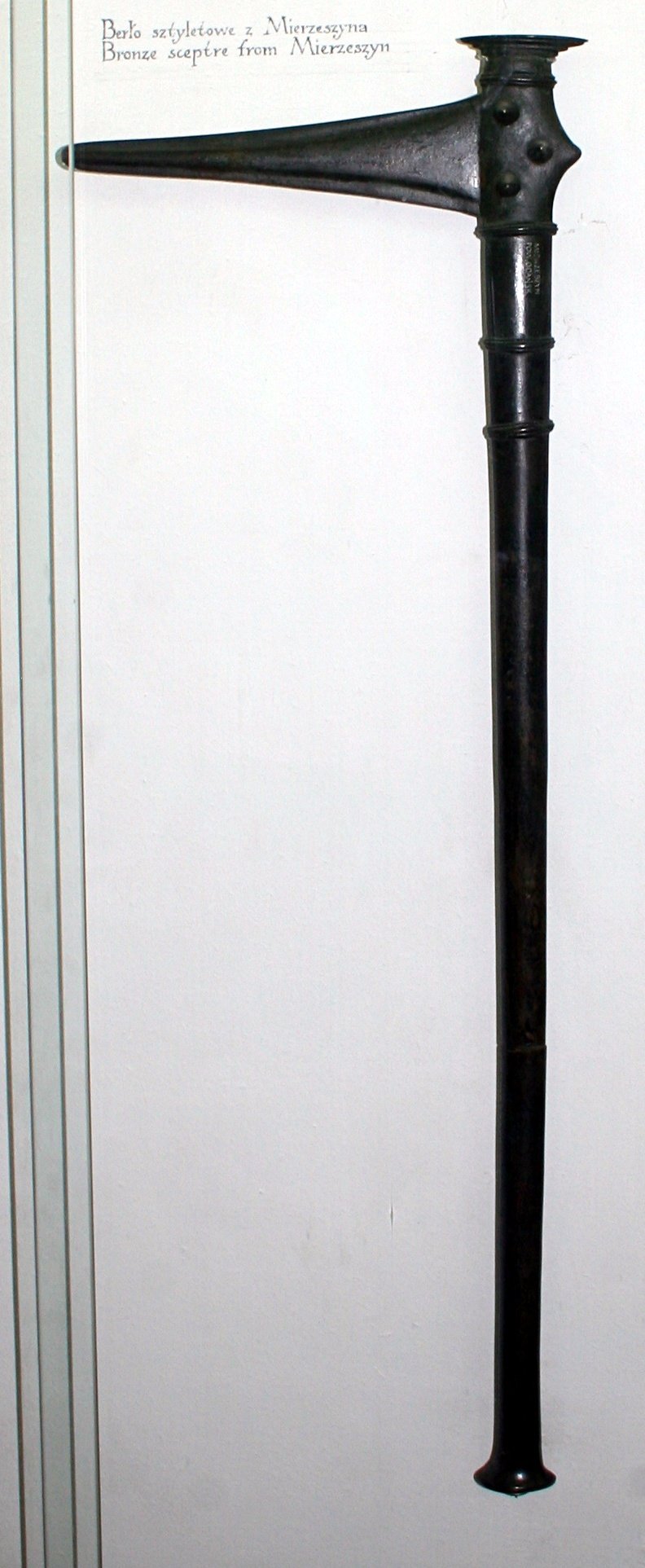 Archeological Museum in Gdańsk