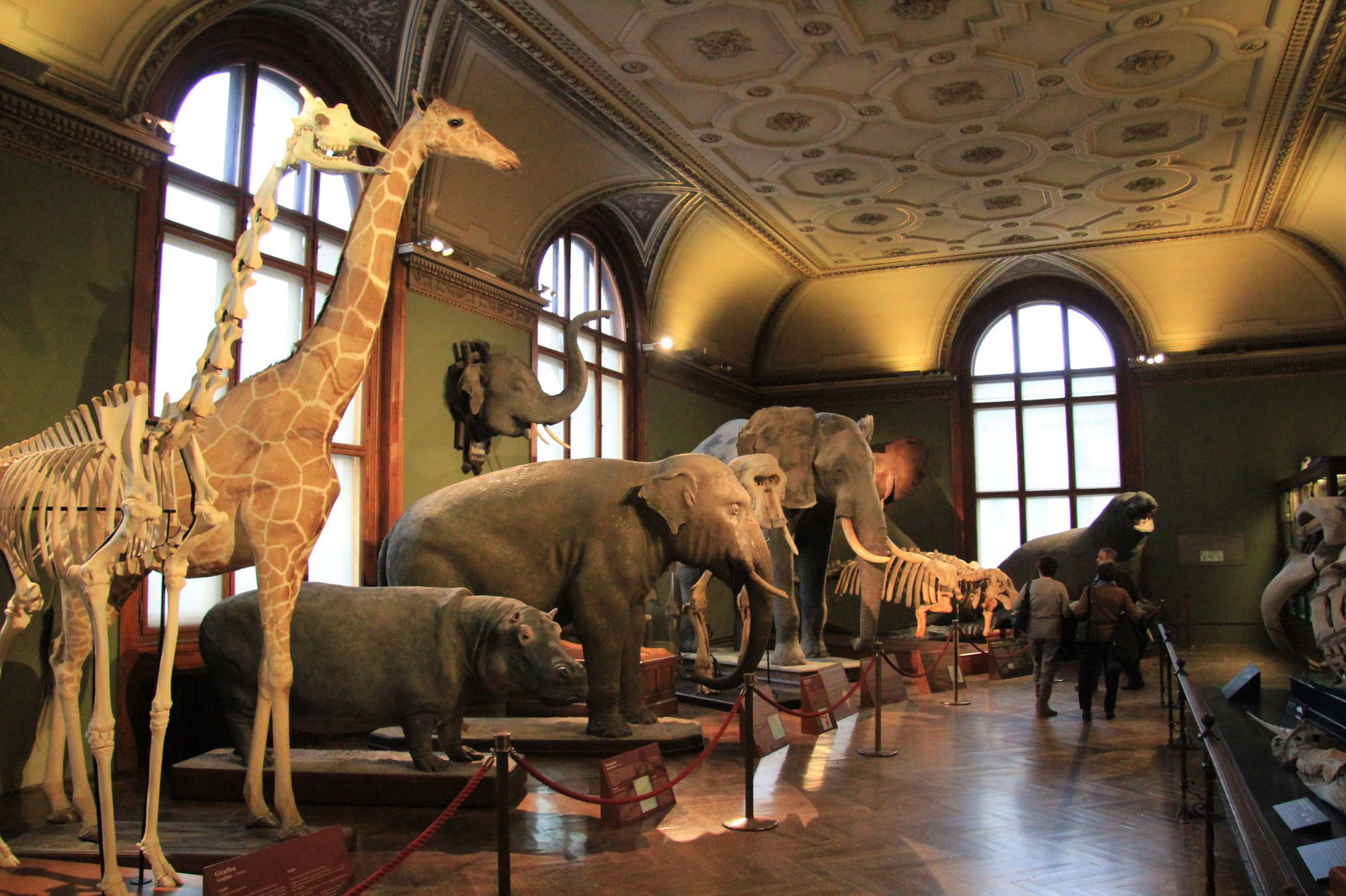 Naturhistorisches Museum