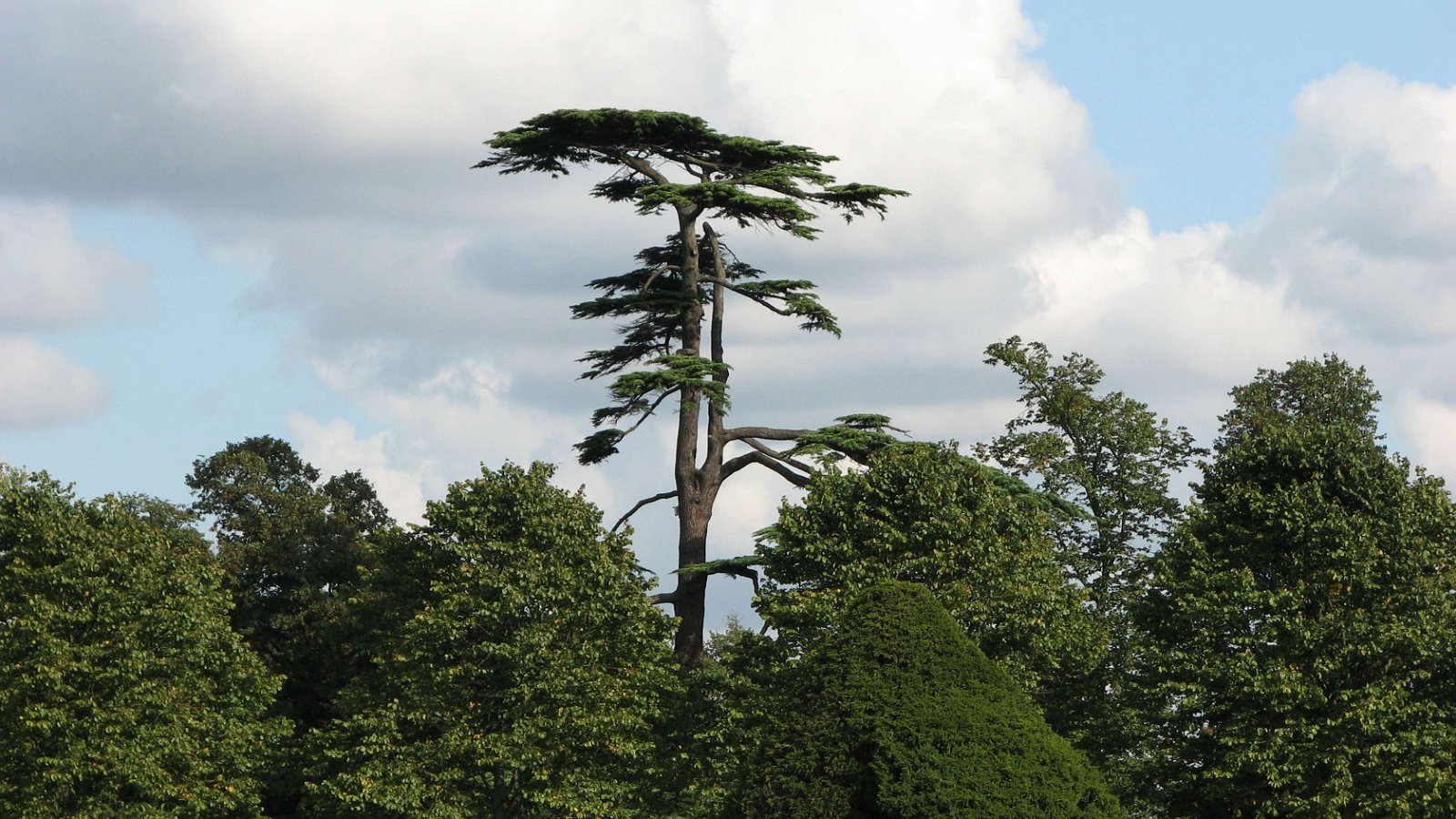 Hampton Court Palace