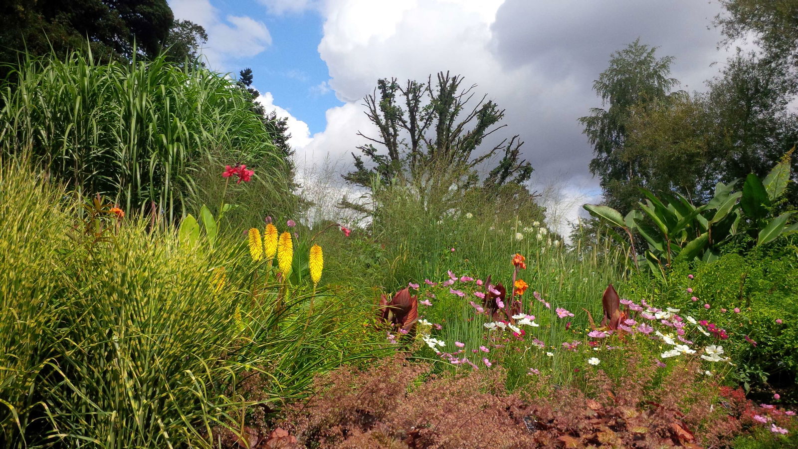 Jardín botánico de Birmingham