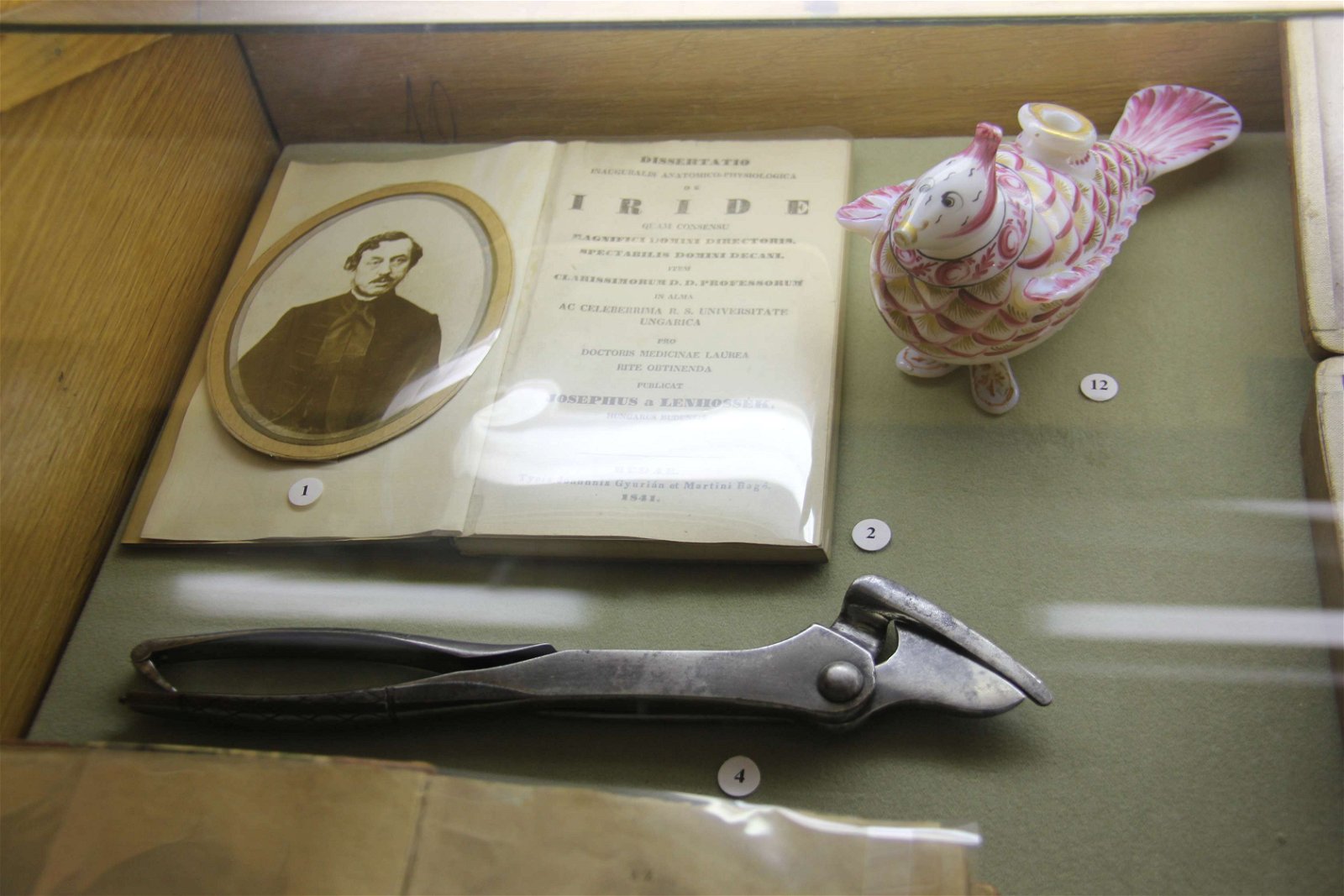 Semmelweis Museum of Medical History