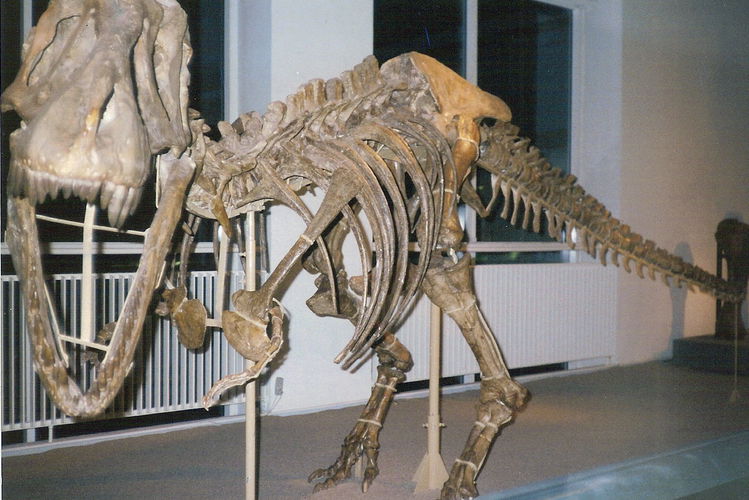 Experimentarium City